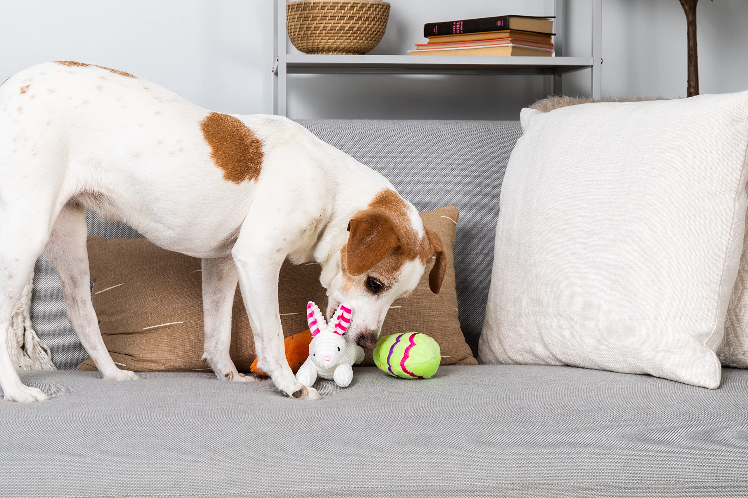 Midlee Hide A Toy Easter Basket Dog Toy