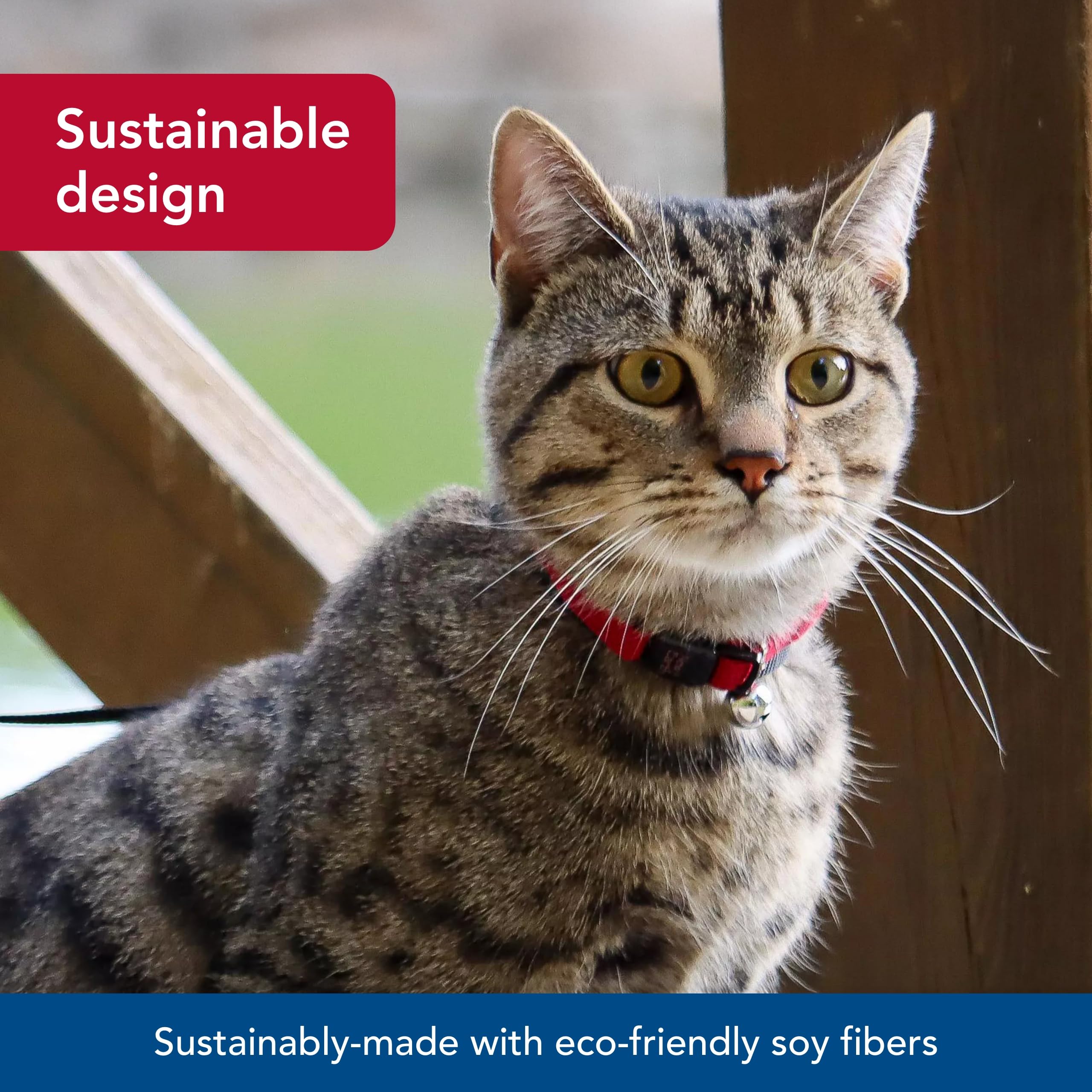 Coastal Pet New Earth Soy Adjustable Breakaway Cat Collar - Eco-Friendly, Odor-Resistant And Adjustable Cat Collar - Olive - 3/8' X 8'-12'
