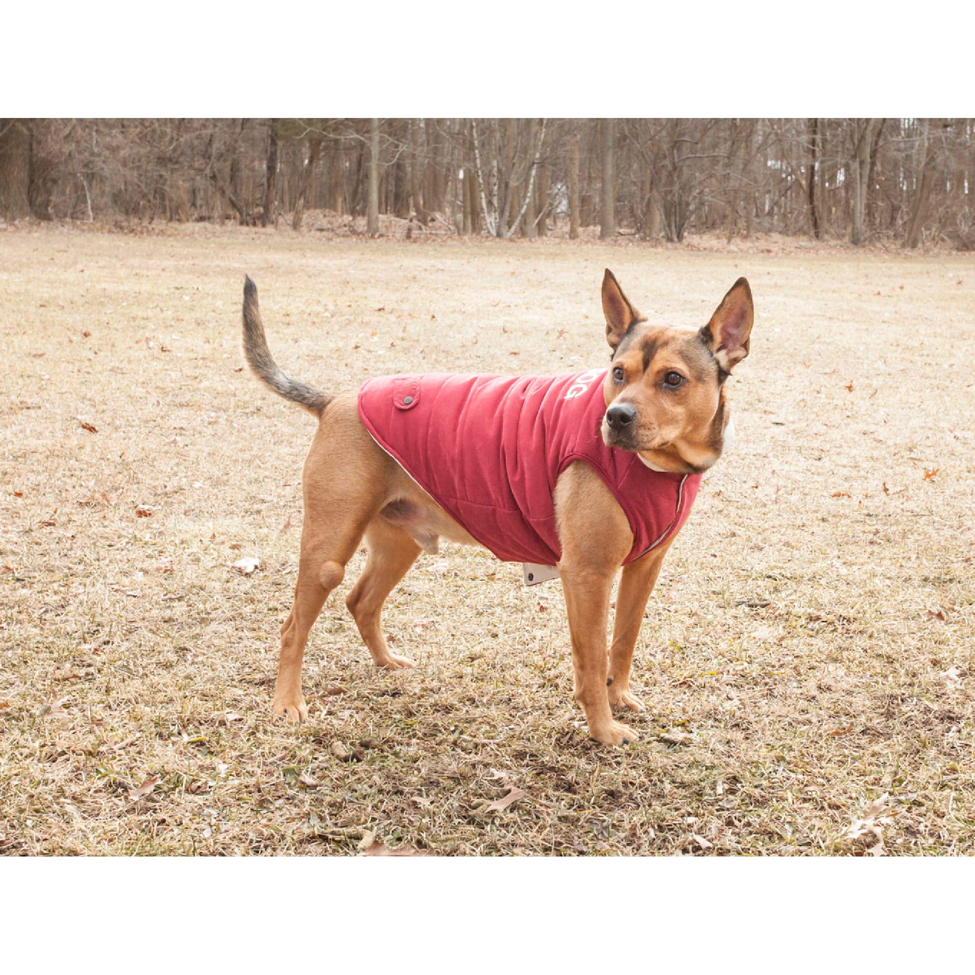 Touchdog Waggin Swag Reversible Insulated Pet Coat