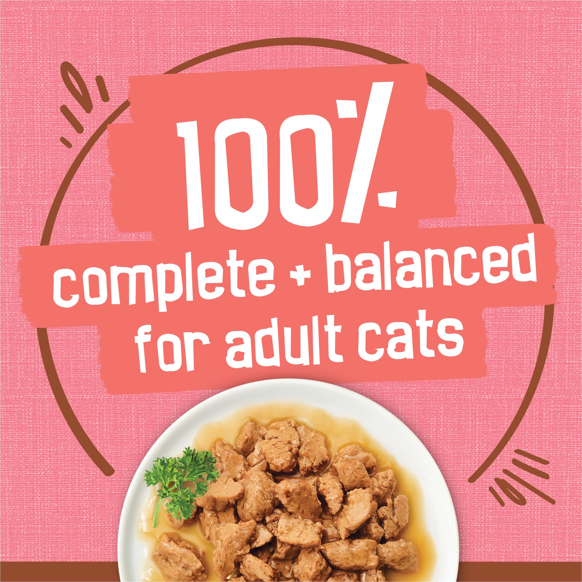Purina Friskies Extra Gravy Wet Cat Food Chunky With Salmon in Savory Gravy - (Pack of 24) 5.5 oz. Cans