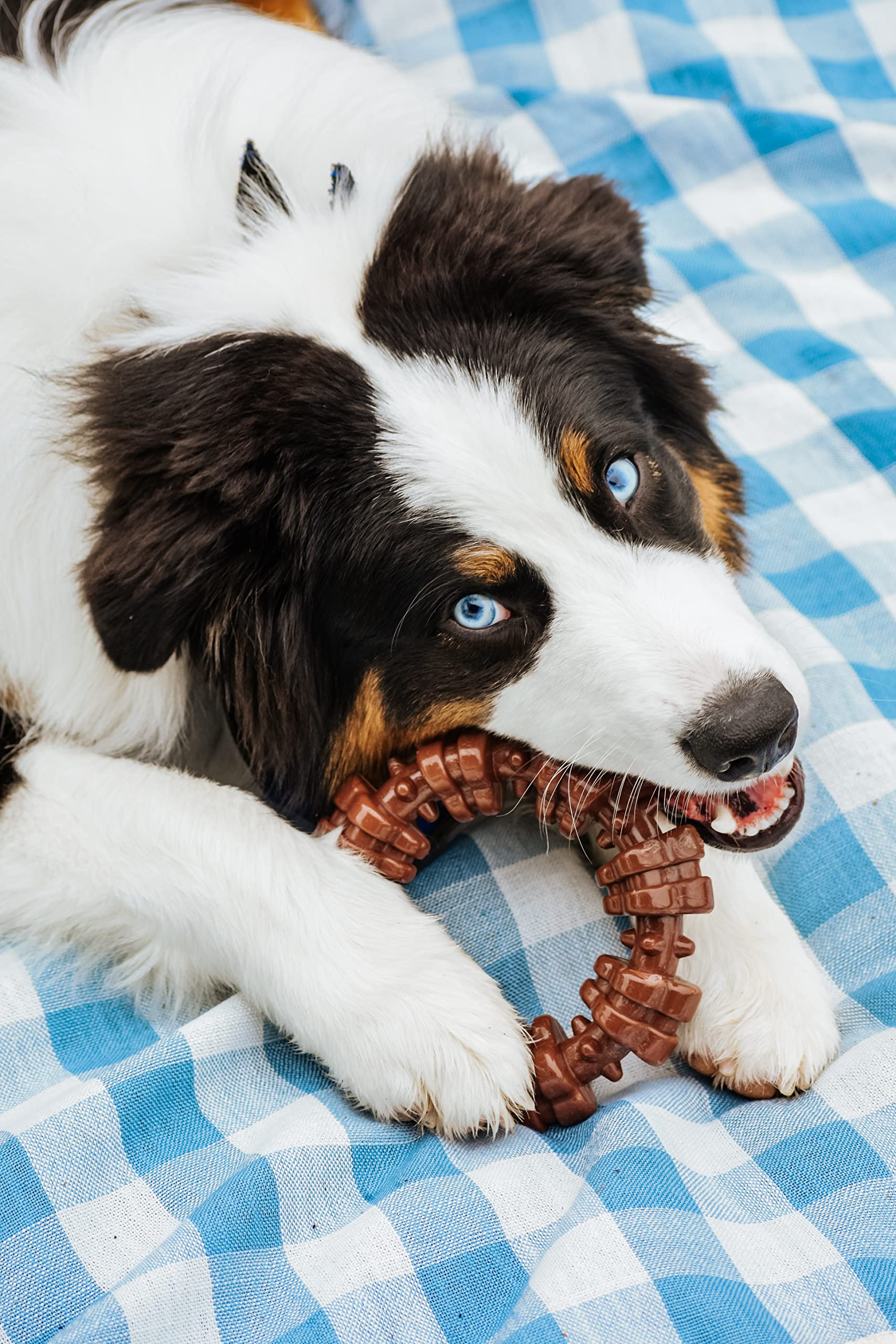Nylabone Power Chew Textured Dog Chew Ring Toy - Tough and Durable Dog Chew Toy - Indestructible Dog Toys for Aggressive Chewers