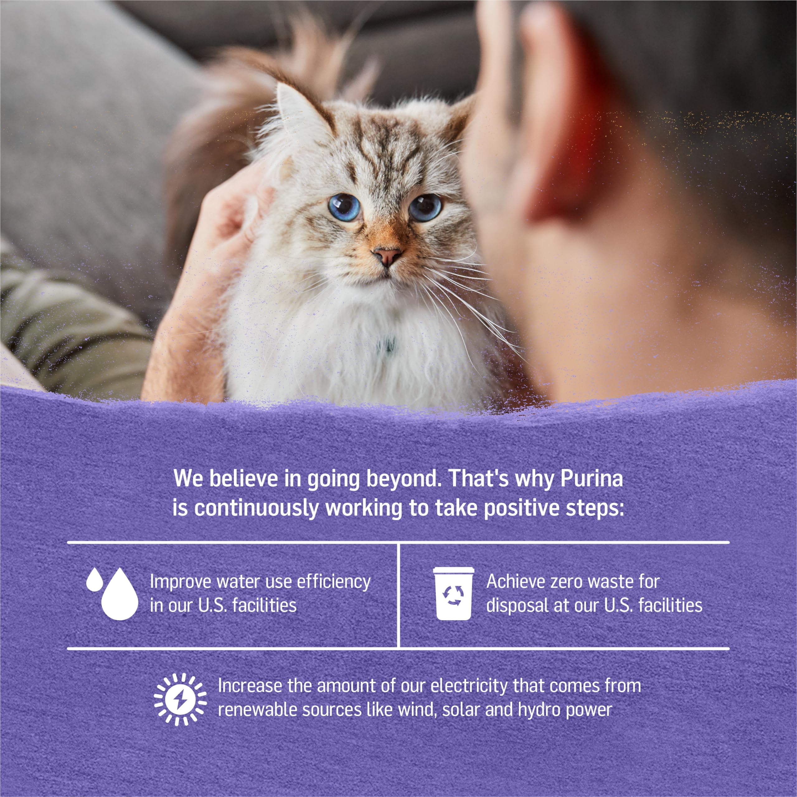 Purina Beyond Cage-Free Turkey, Sweet Potato and Spinach Recipe In Wet Cat Food Gravy - (Pack of 12) 3 oz. Cans