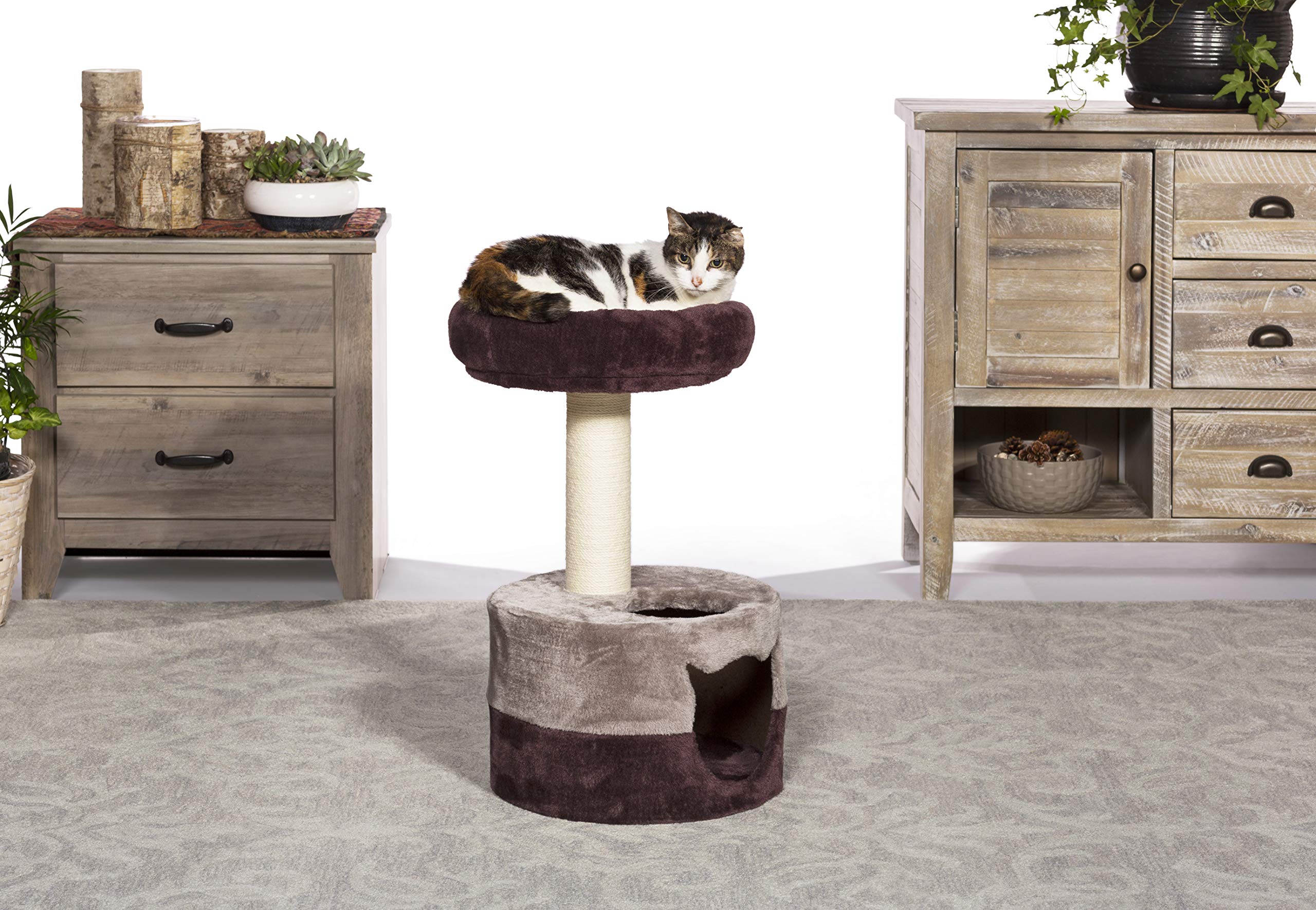 Prevue Hendryx Kitty Power Paws Kitty King