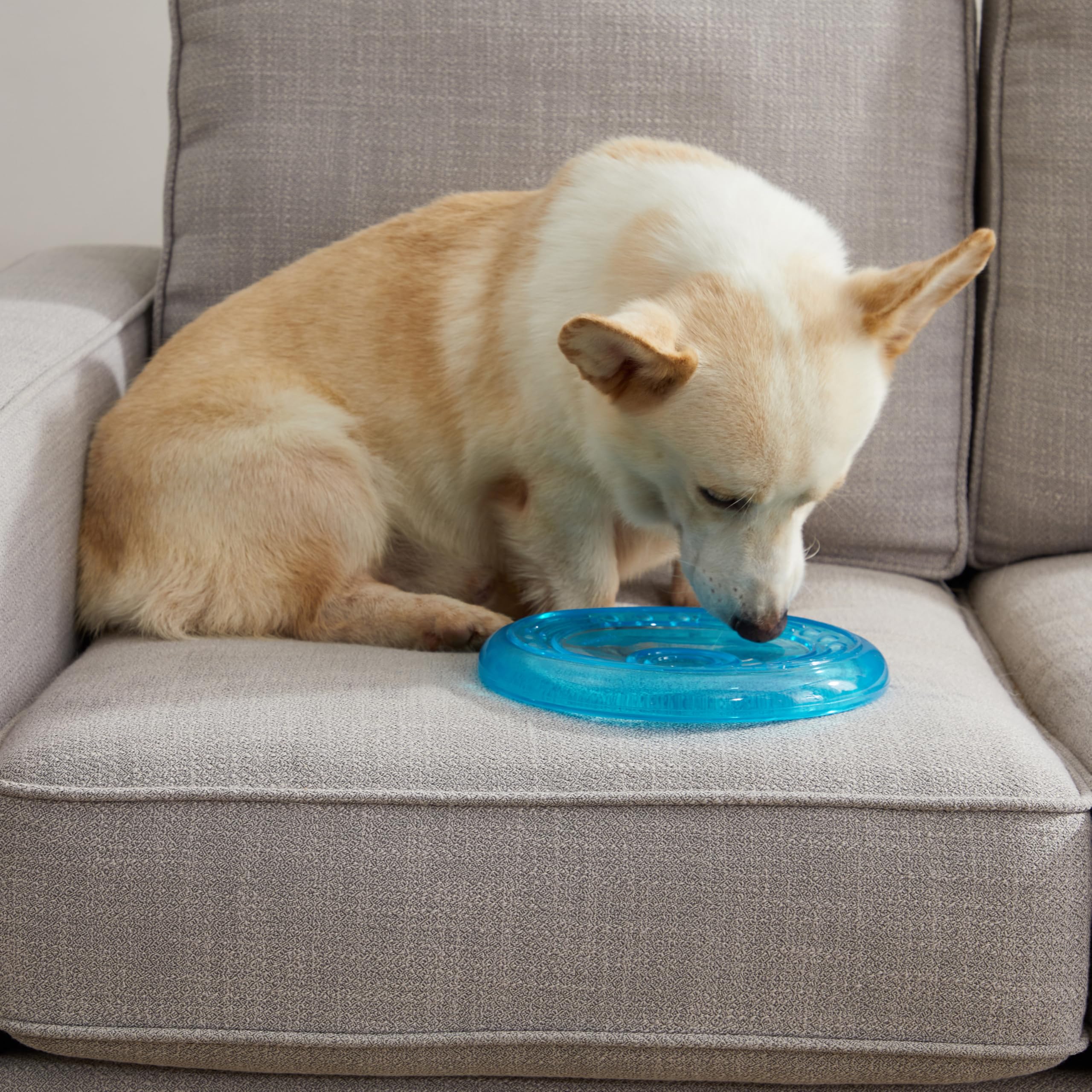 Petstages Orka Flyer Dog Fetch Toy - Royal Blue Rubber Disc for All Breeds, Model 231