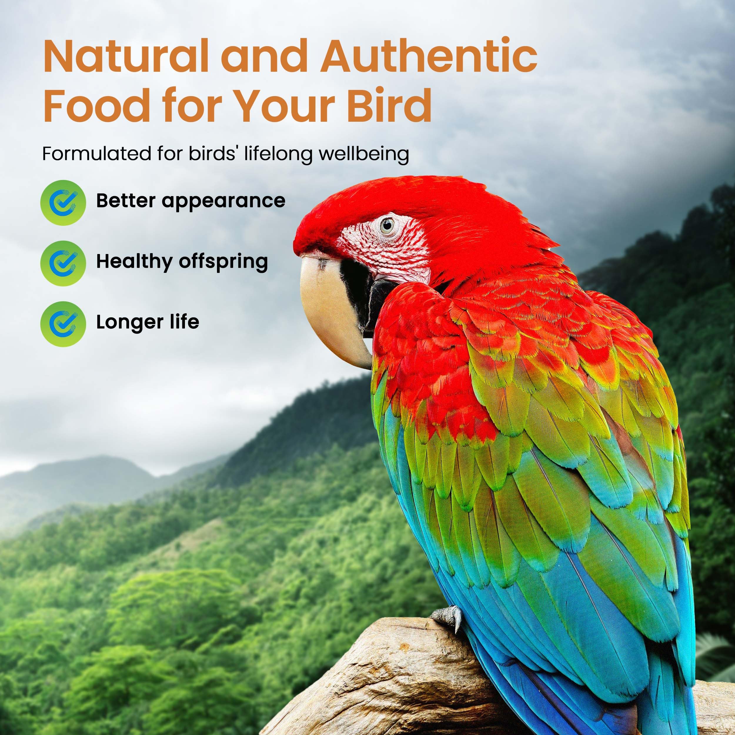 Harrisons Bird Foods High Potency Coarse Certified Organic Non GMO Formula Pet Bird Food 5lb