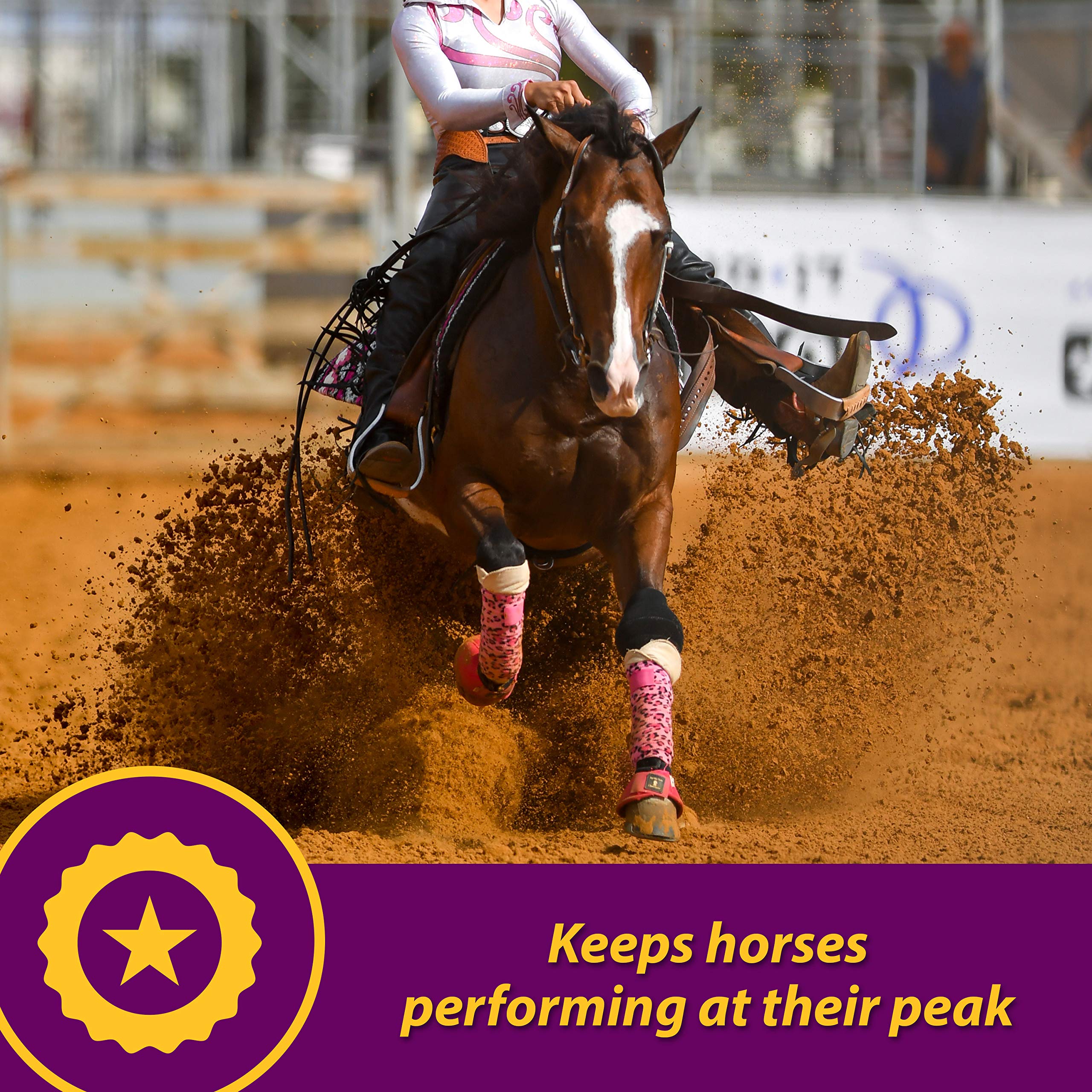 Horse Health Maxum Crumbles Concentrated Feed Supplement for Horses, Provides a Wide Range of Beneficial nutrients for Todays E