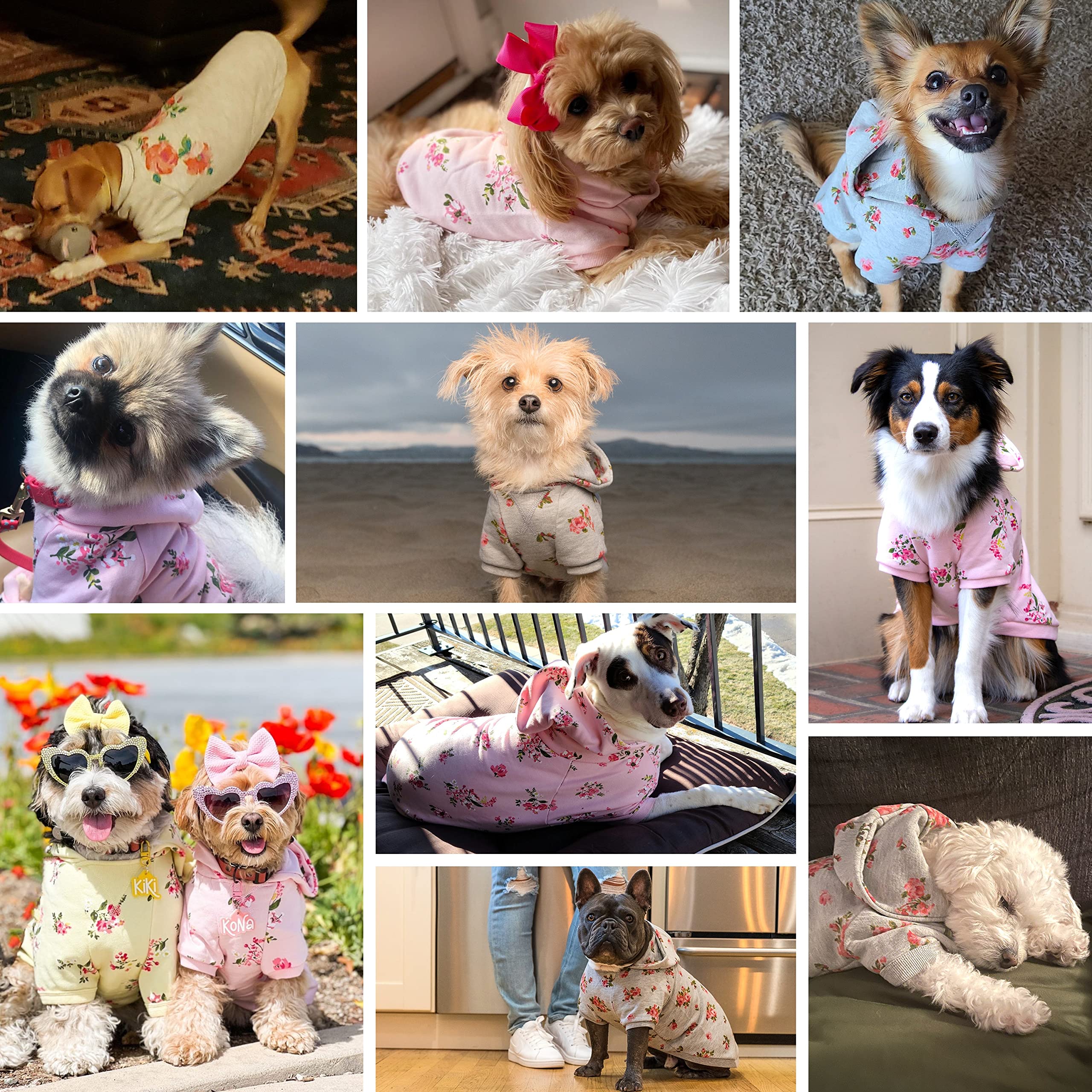 Blueberry Pet Christmas Sweater Dog Hoodie - Stylish Grey Rose Flower Pullover Fleece Dog Sweater Vest, Dog Clothes & Pajamas, D