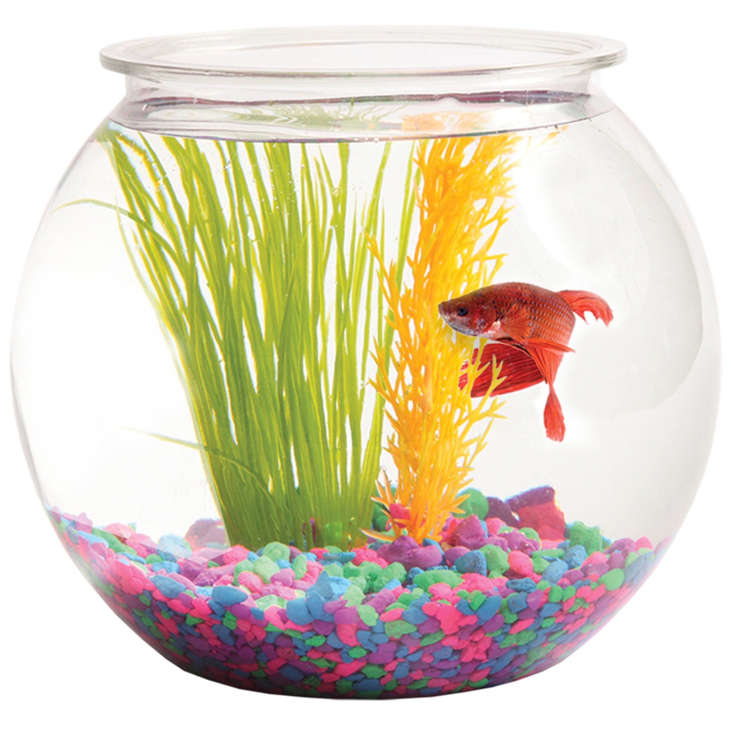Aquatic Wonder 1 Gallon Fish Bowl: Round Crystal Clear Plastic is Break-Resistant and Light Weight. Ideal for Betta Fish Aquariu
