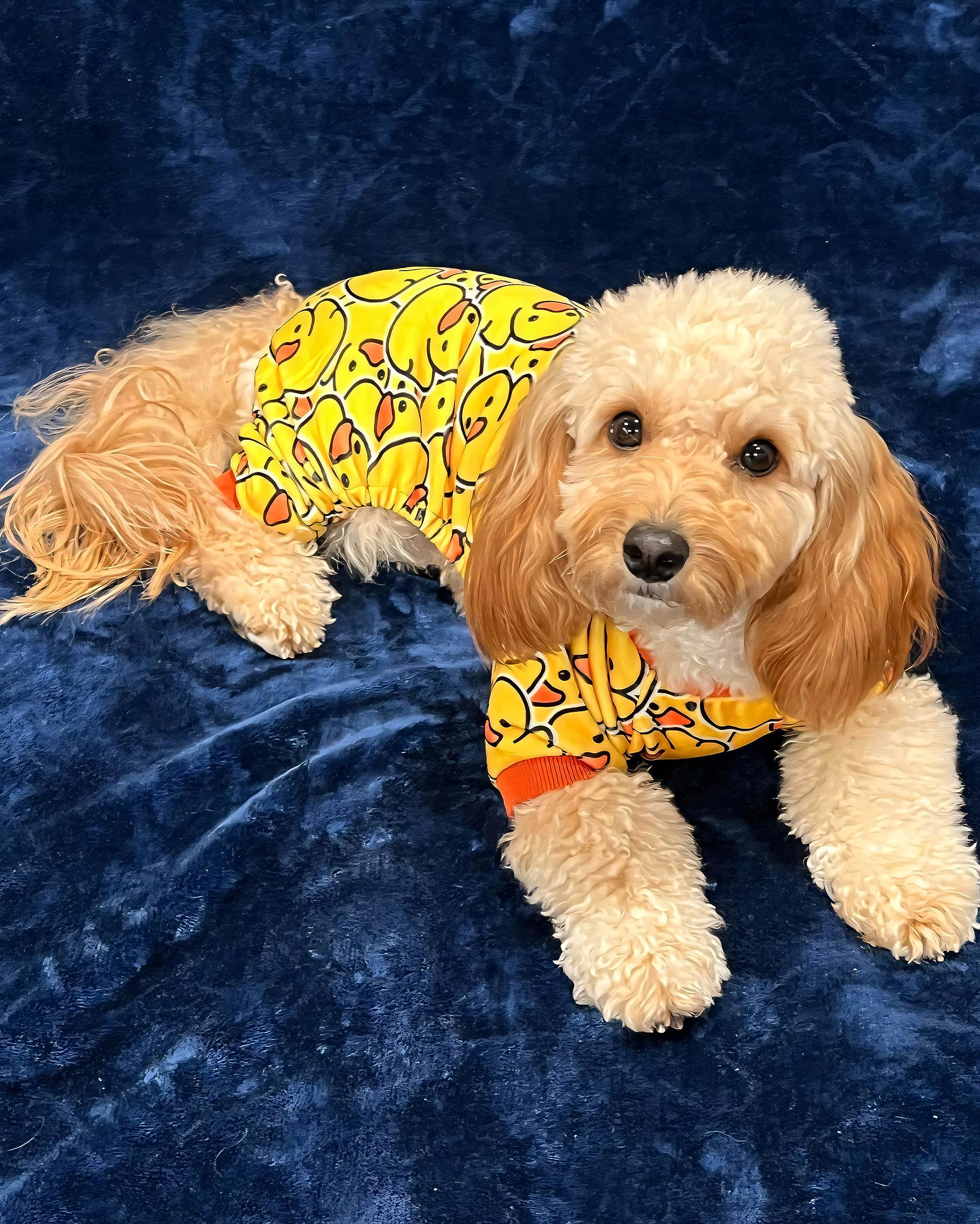 Fitwarm Funny Duck Dog Pajamas, Dog Winter Clothes For Small Dogs Girl Boy, Lightweight Velvet Pet Jumpsuit, Cat Onesie, Yellow, Medium