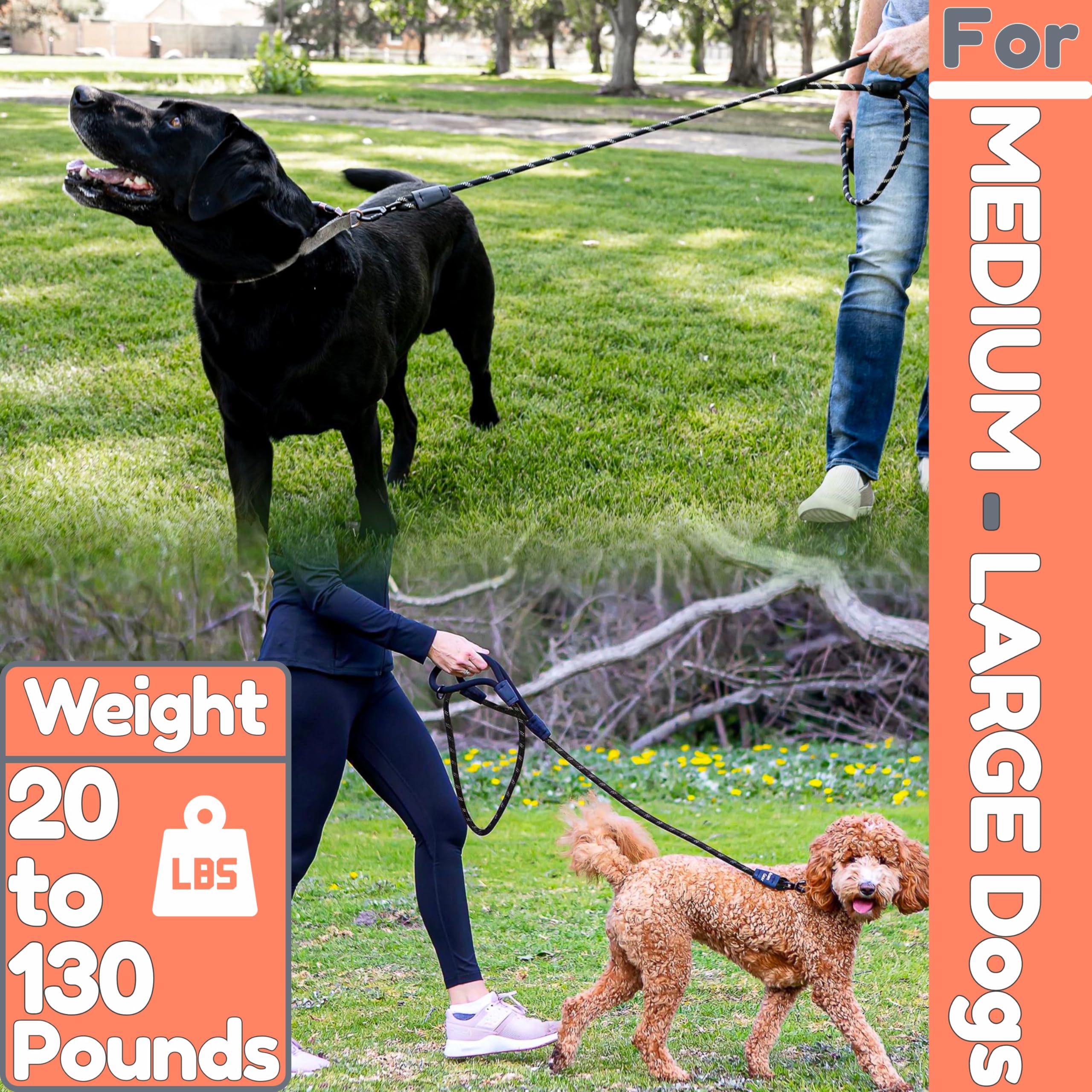 6 Foot Dog Leash, Two Extra Padded Handles, Heavy Duty Dog Leash For Medium To Large Pets, Highly Reflective, Shock-Absorbing No Pull Rope Lead, Durable For Walking, Running, Training Lead - Roam Gear
