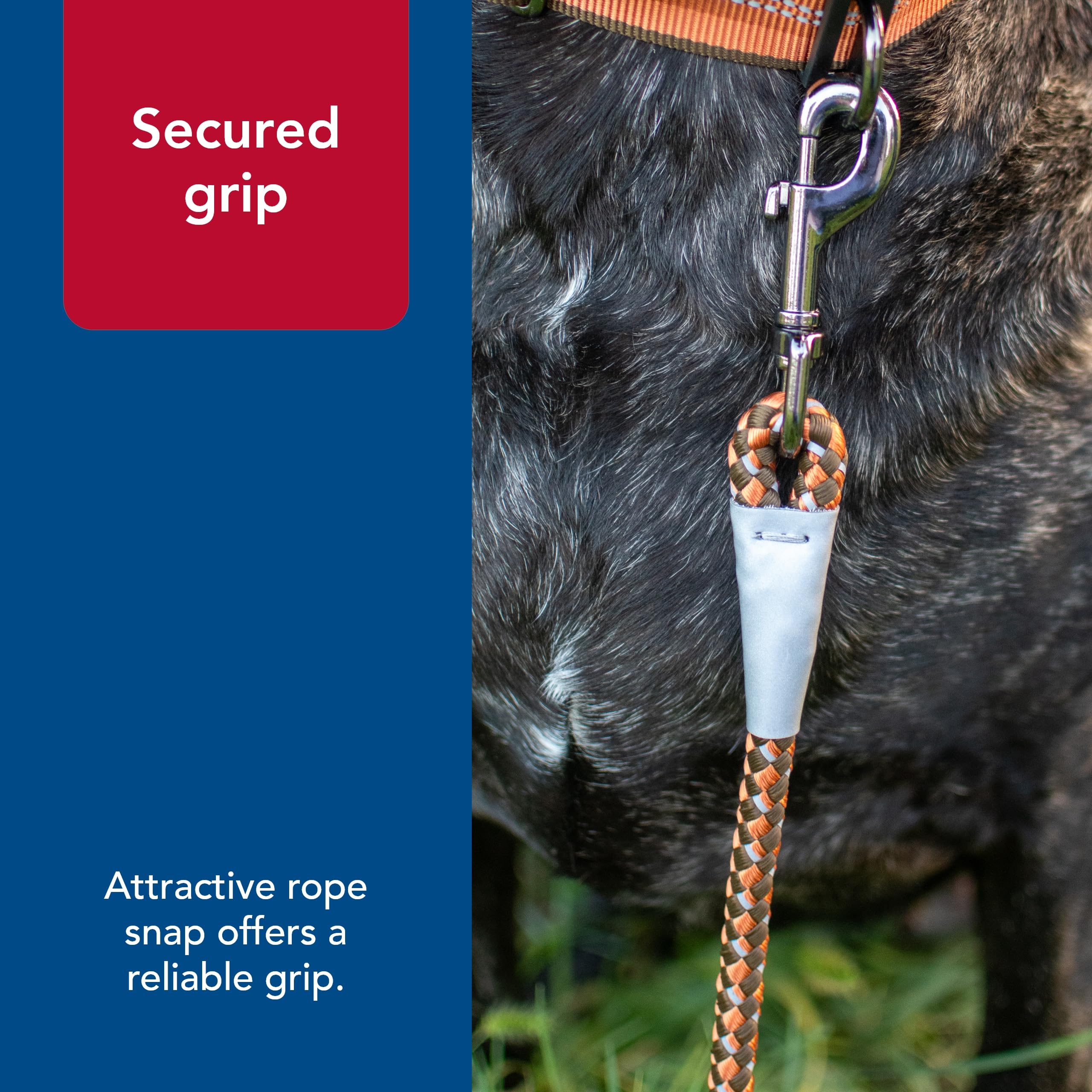 Coastal Pet K9 Explorer Reflective Braided Rope Snap Dog Leash - Heavy-Duty Leash - Comfortable & Secure Grip - Reflective Cord & Rugged Gunmetal Hardware - Campfire Orange, 1/2' X 6'