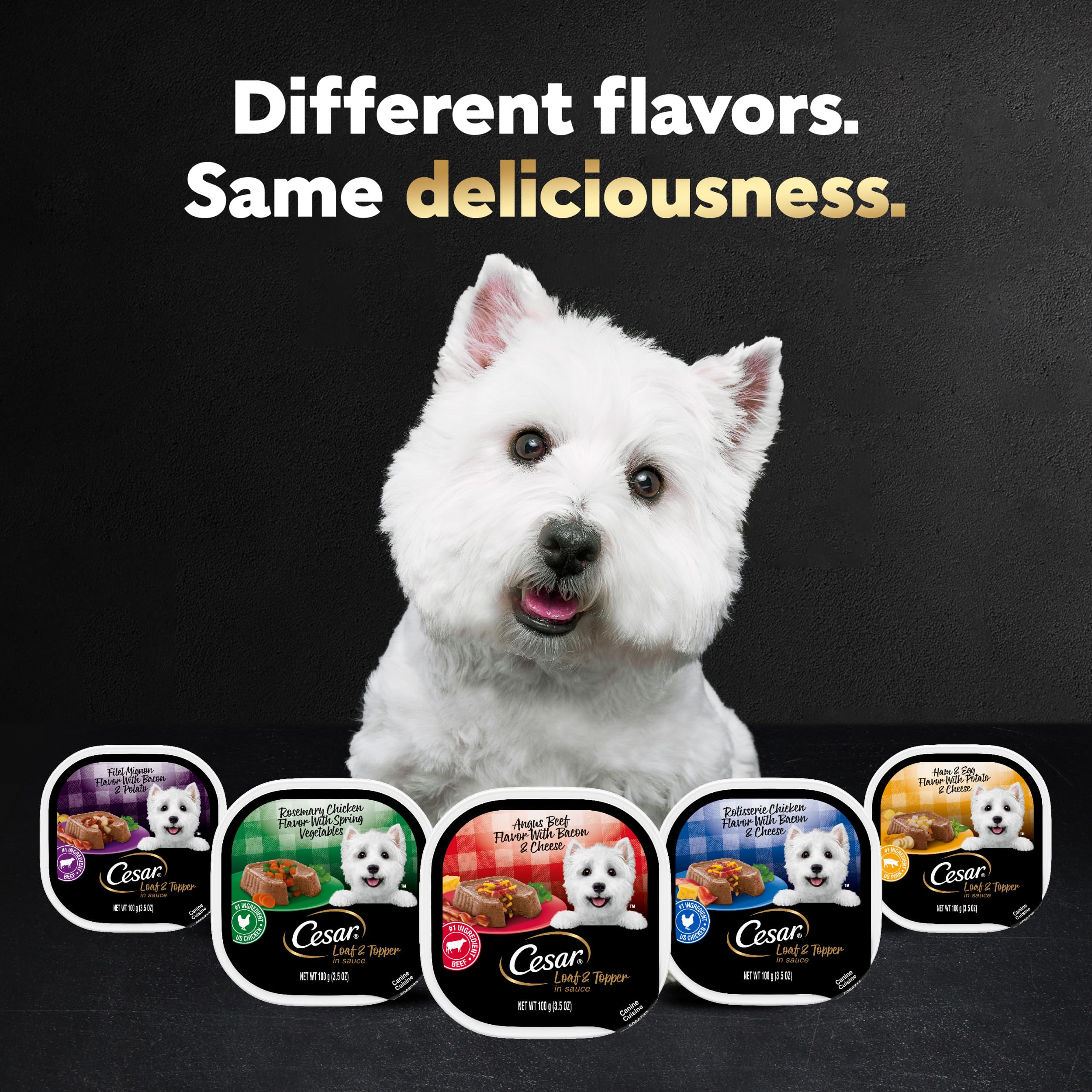 Cesar Wet Dog Food Loaf in Sauce Rotisserie Chicken Flavor with Bacon & Cheese and Filet Mignon Flavor with Bacon & Potato Varie