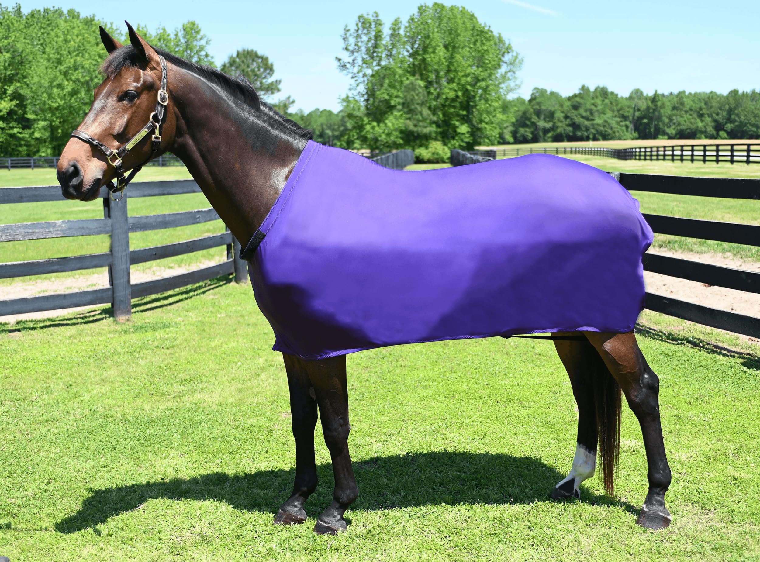 Gatsby StretchX Full Sheet XL Purple