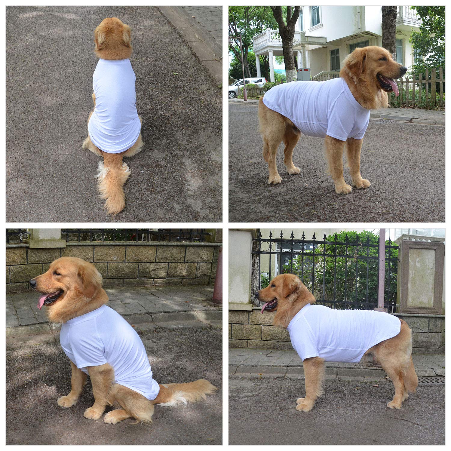 Lovelonglong 2019 Pet Clothing Dog Costumes Basic Blank T-Shirt Tee Shirts For Medium Large Dogs White Xxxl