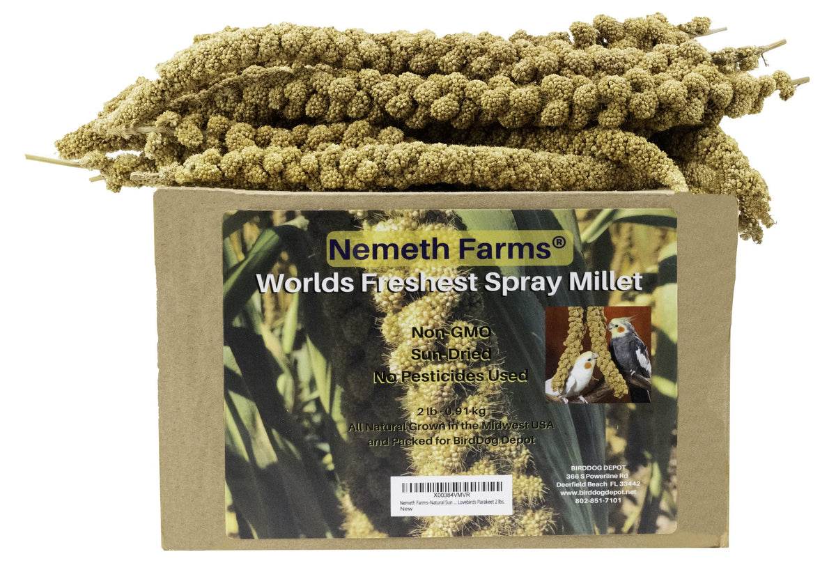 Nemeth Farms-Natural Sun Dried Millet Spray For Pet Birds-Bulk Parrot Seed Treats And Parrot Food-Natural Non Gmo Millet Spray-Cockatiels Lovebirds Parakeet 2 Lbs.