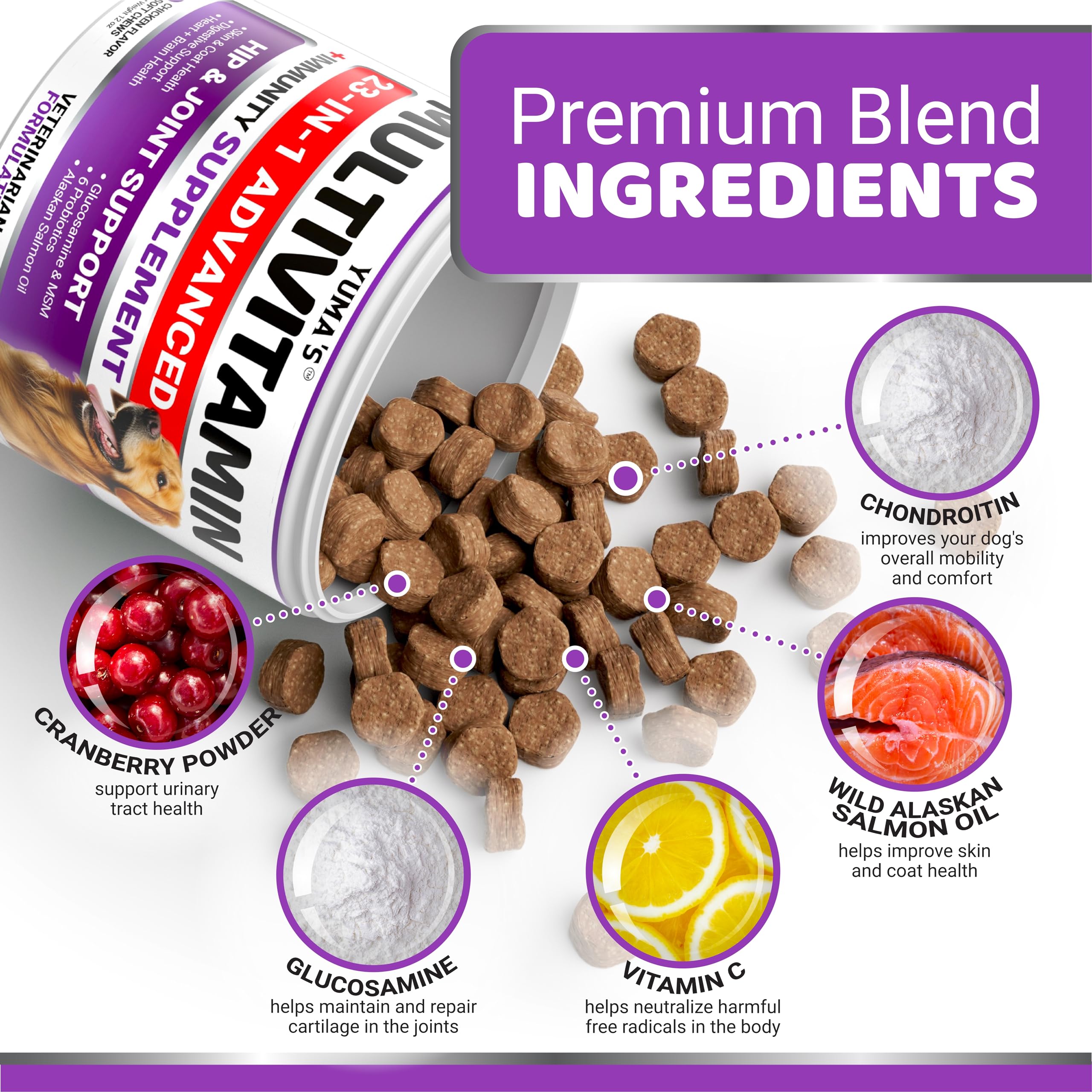 Dog Multivitamin Chewable with Glucosamine - Dog Vitamins and Supplements - 170 Treats - Senior & Puppy Multivitamin for Dogs -