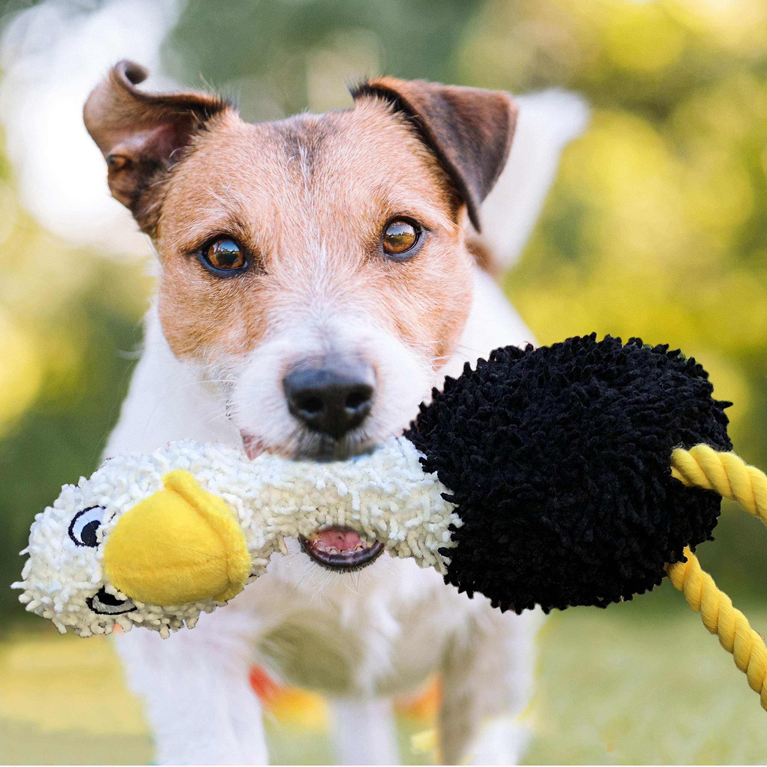 Rocket & Rex 3-Pack Dog Chew Toy Gift Set  Rope Toy, Rubber Squeaker Toy And Plush Toy With Ball  Puppies, Small To Medium Breed