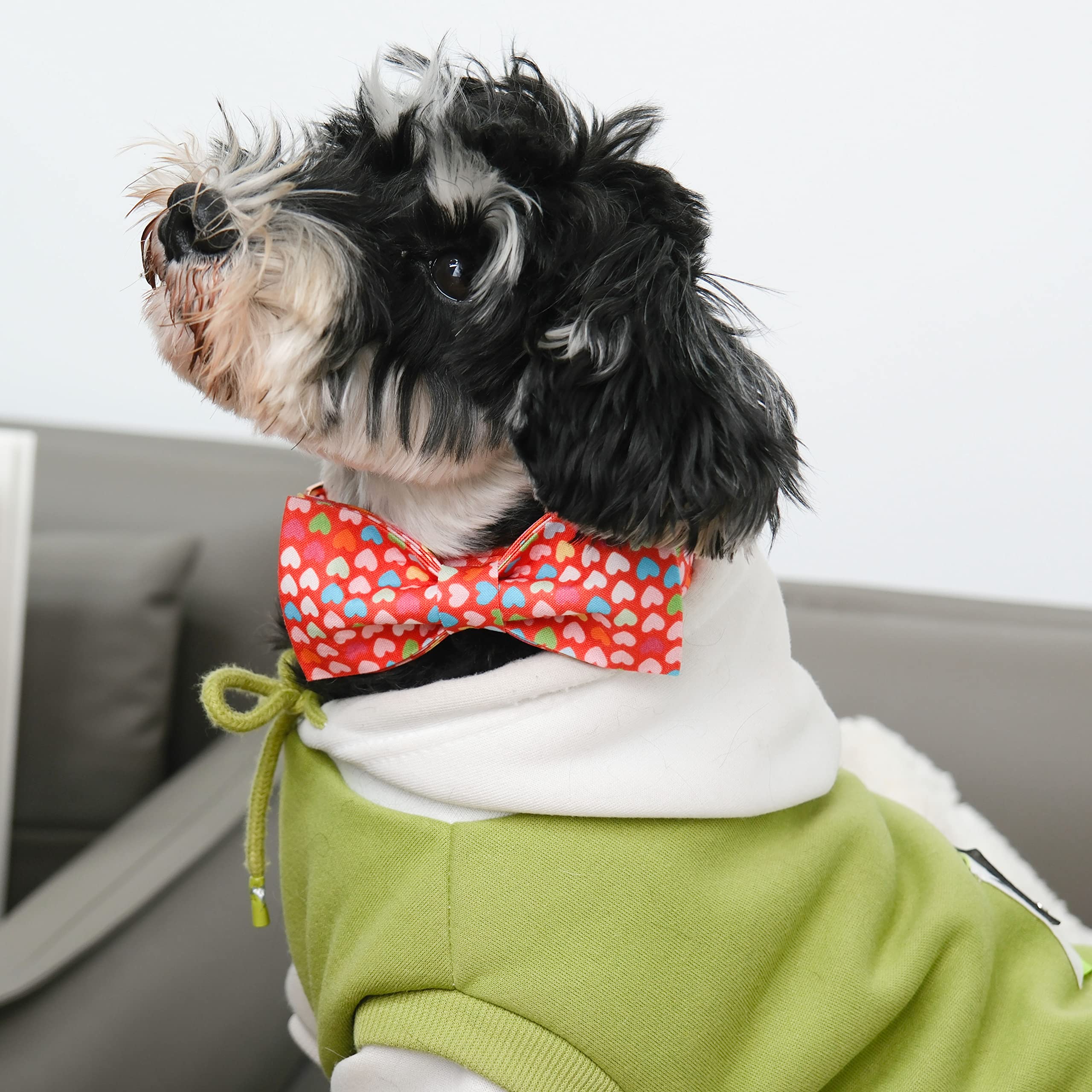 MACA Bates Valentines Dog Collar with Bow Flower Bow tie Sweet Heart Adjustable Collars for Small Medium Large Dogs with Metal B