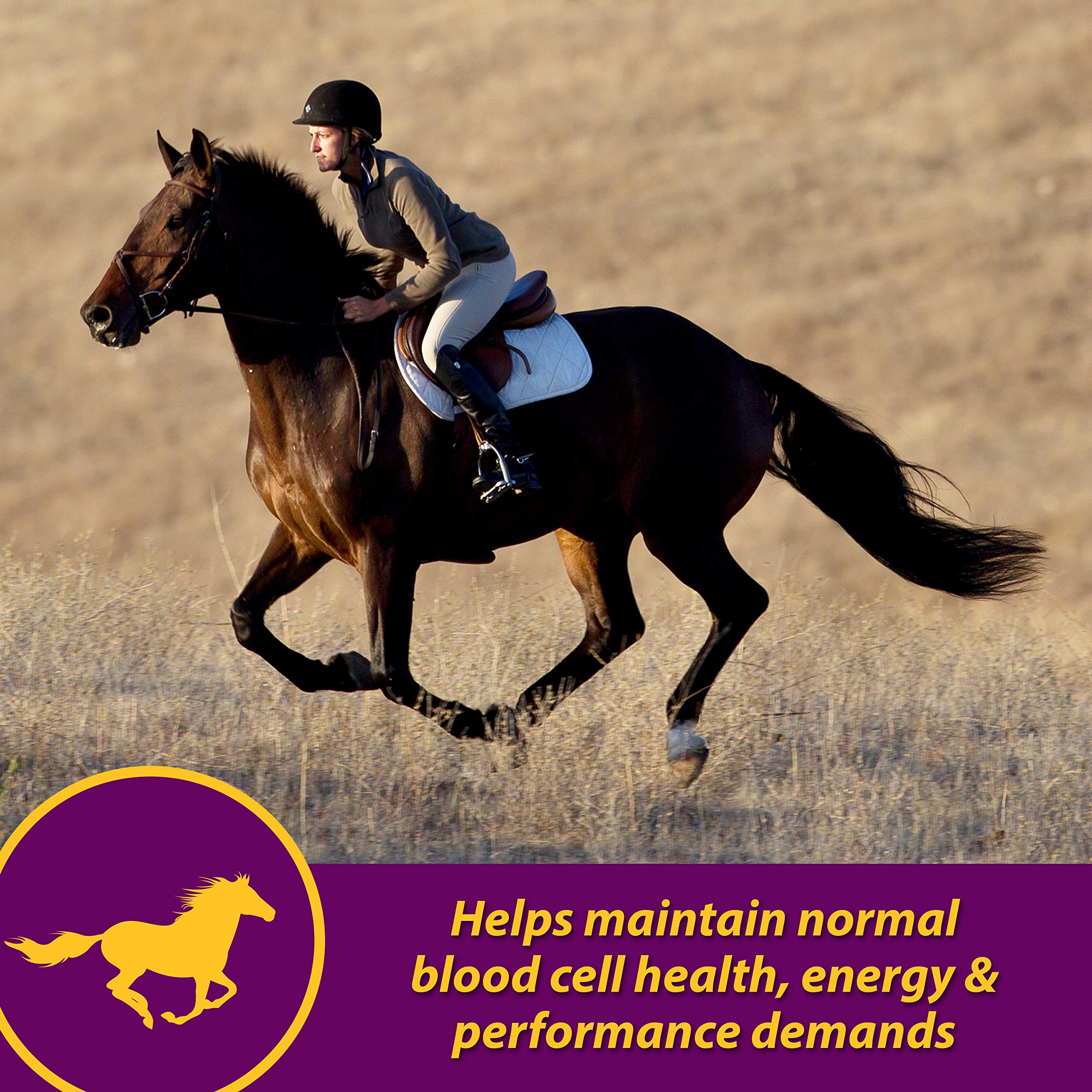 Horse Health Red Cell, Liquid Vitamin-Iron-Mineral Supplement for Horses, Helps Fill Important Nutritional Gaps in Horses Diet,