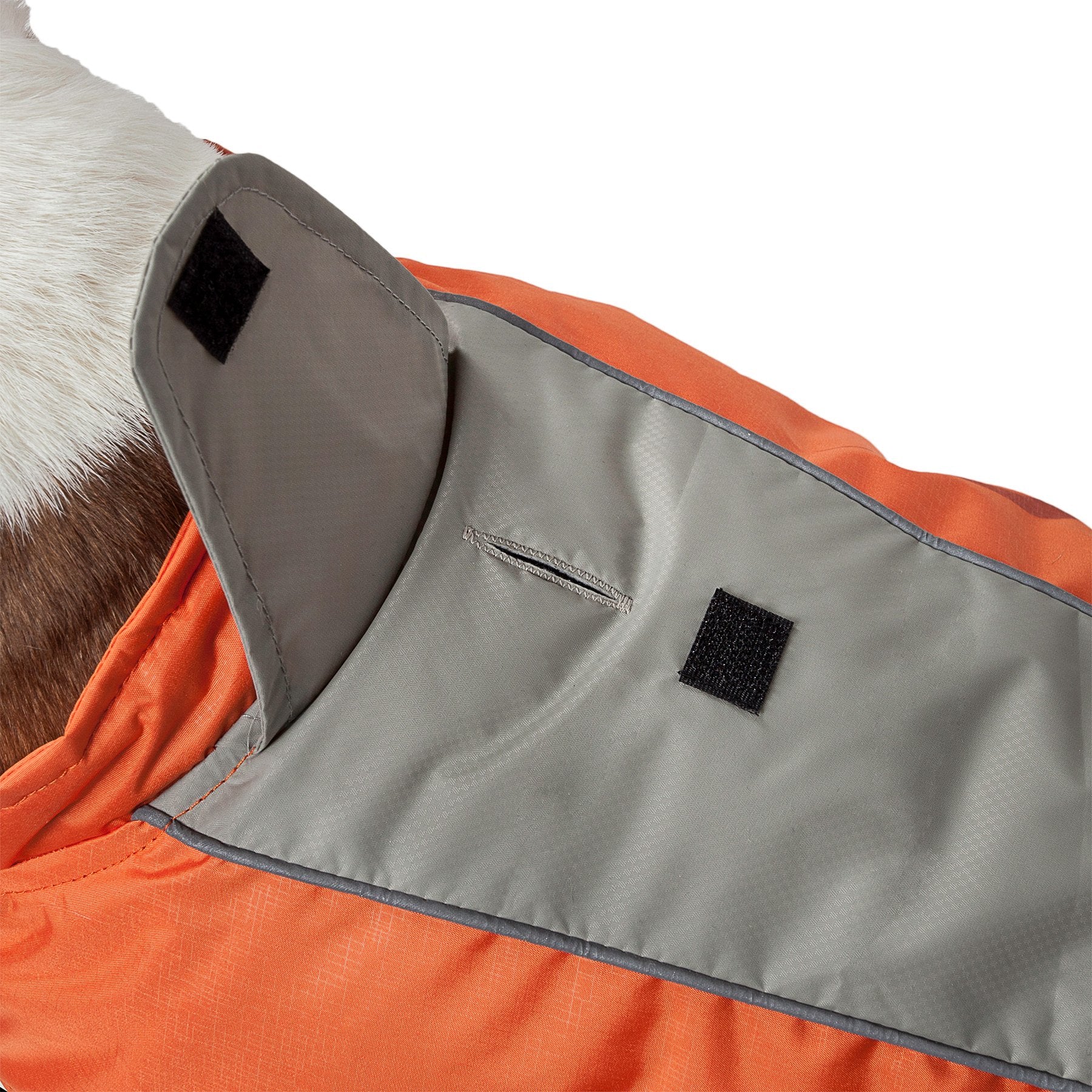 DOGHELIOS Altitude-Mountaineer Wrap-hook and loop Protective Waterproof Pet Dog Coat Jacket w/ Blackshark Technology, X-Small,