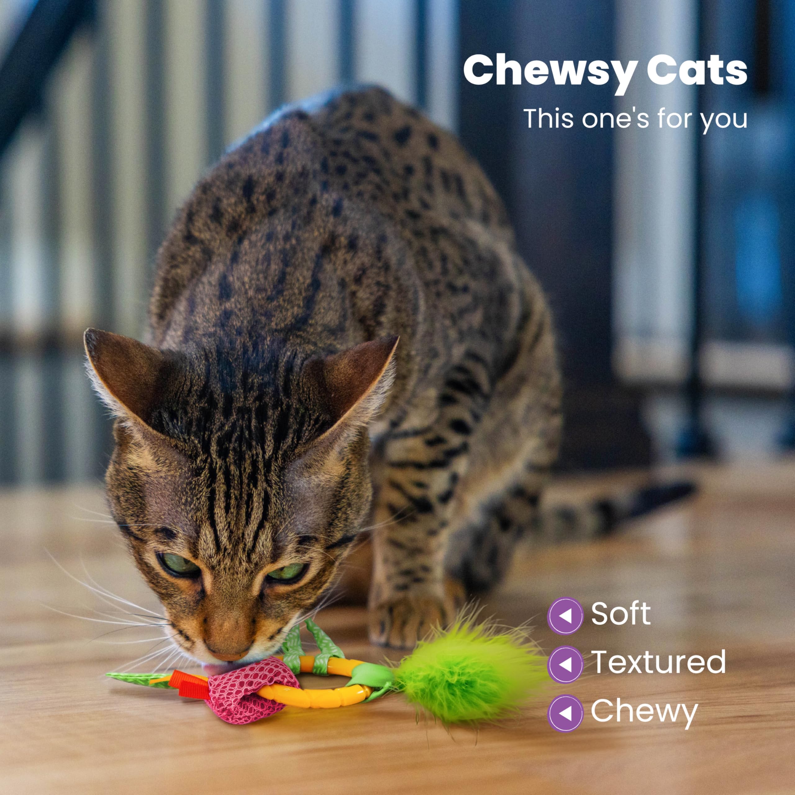 Catstages Dental Pineapple Teether - Chew Toy for Cats and Kittens - Textured Fabric and Mesh - Coated in Catnip Oil - Supports