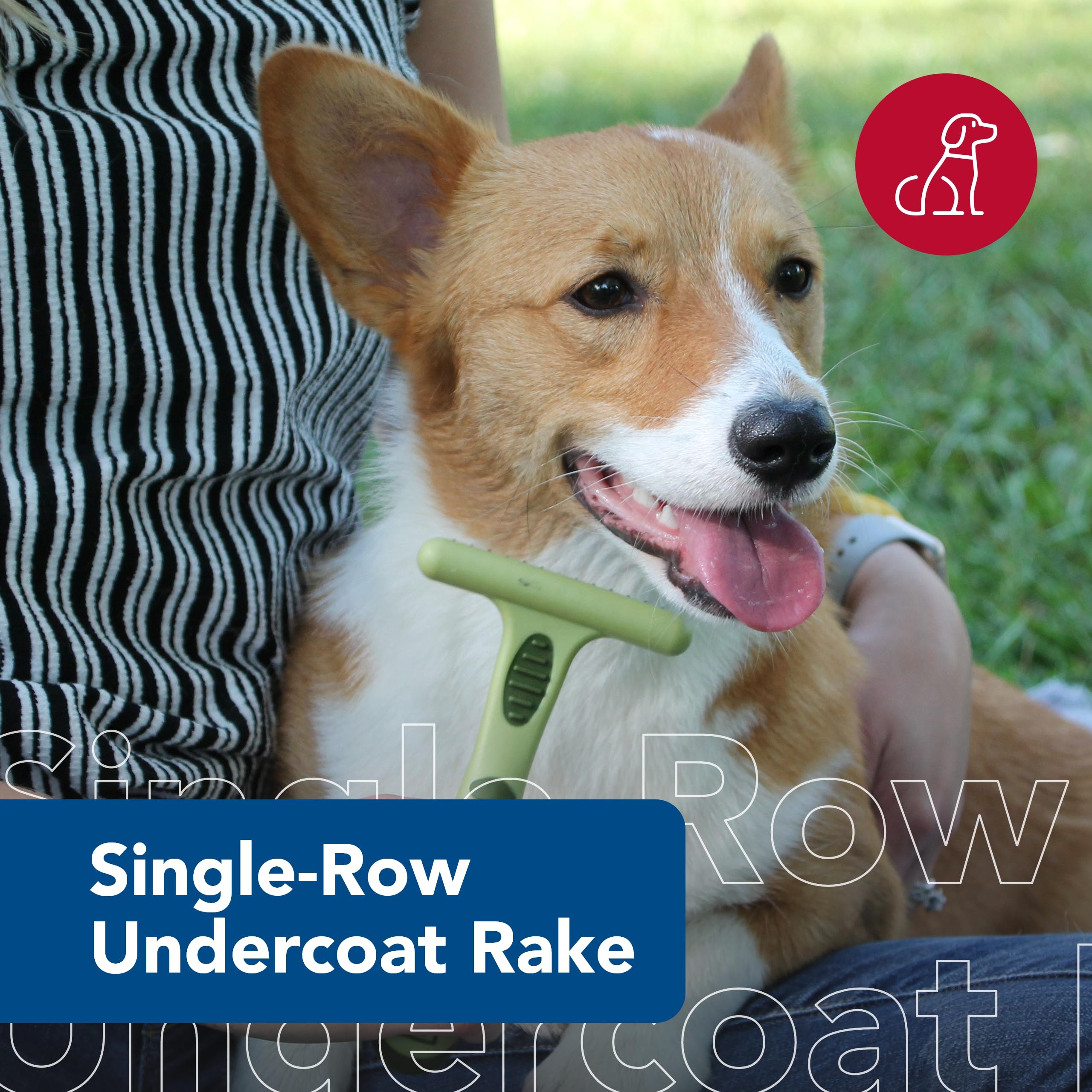 Coastal Pet Safari Single Row Undercoat Rake - Gentle Dematting And Deshedding Tool For Dogs, Pet Grooming Comb