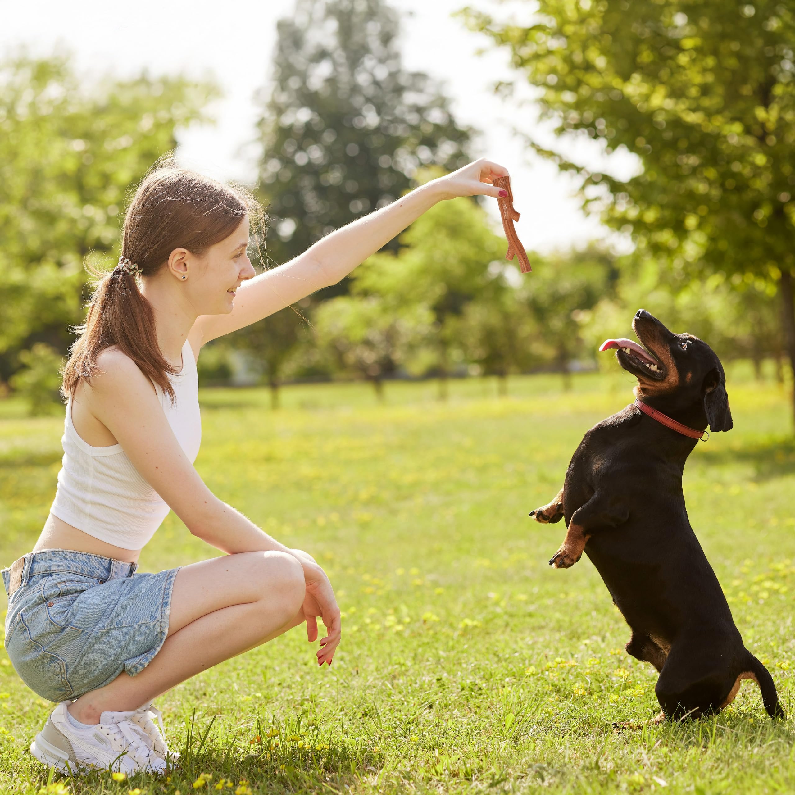 Spot Bam-Bones Plus Branch -Bamboo Fiber & Nylon, Durable Long Lasting Dog Chew For Aggressive Chewers – Great Toy For Adult Dogs & Teething Puppies Under 60Lbs, Non-Splintering, 5.75In, Beef Flavor