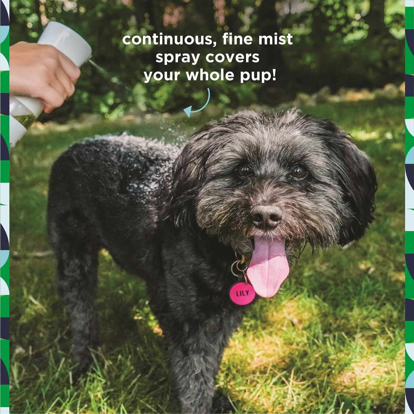Pet Life Unlimited Plant-Powered Flea and Tick Spray for Dogs, Daily Flea Spray for Dogs - Plant-Powered Flea and Tick Preventio