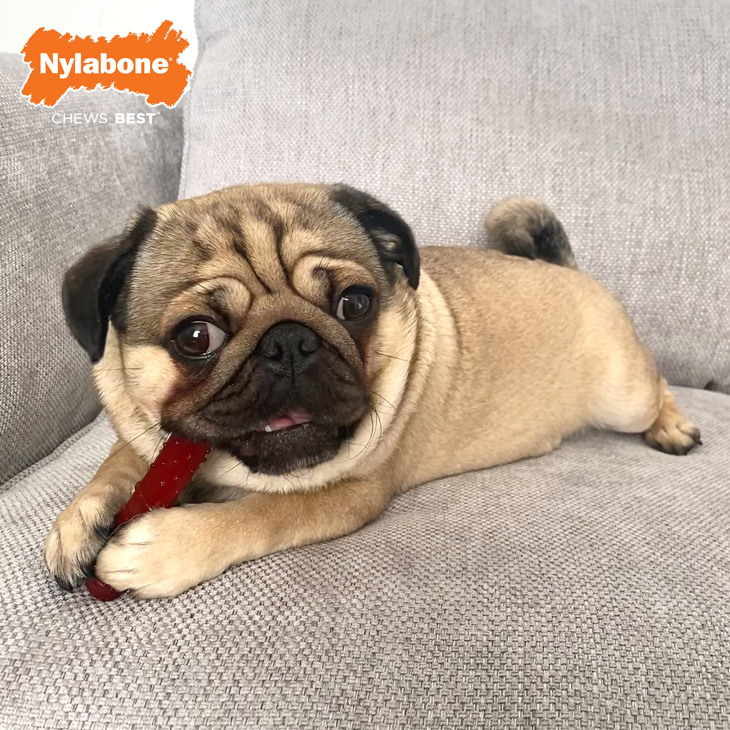 Nylabone Basted Blast Original & Textured Bone Power Chew Toy For Dogs, Dog Toys For Aggressive Chewers, Bacon And Steak Flavor, Small - Up To 25 Lbs, 2 Pack