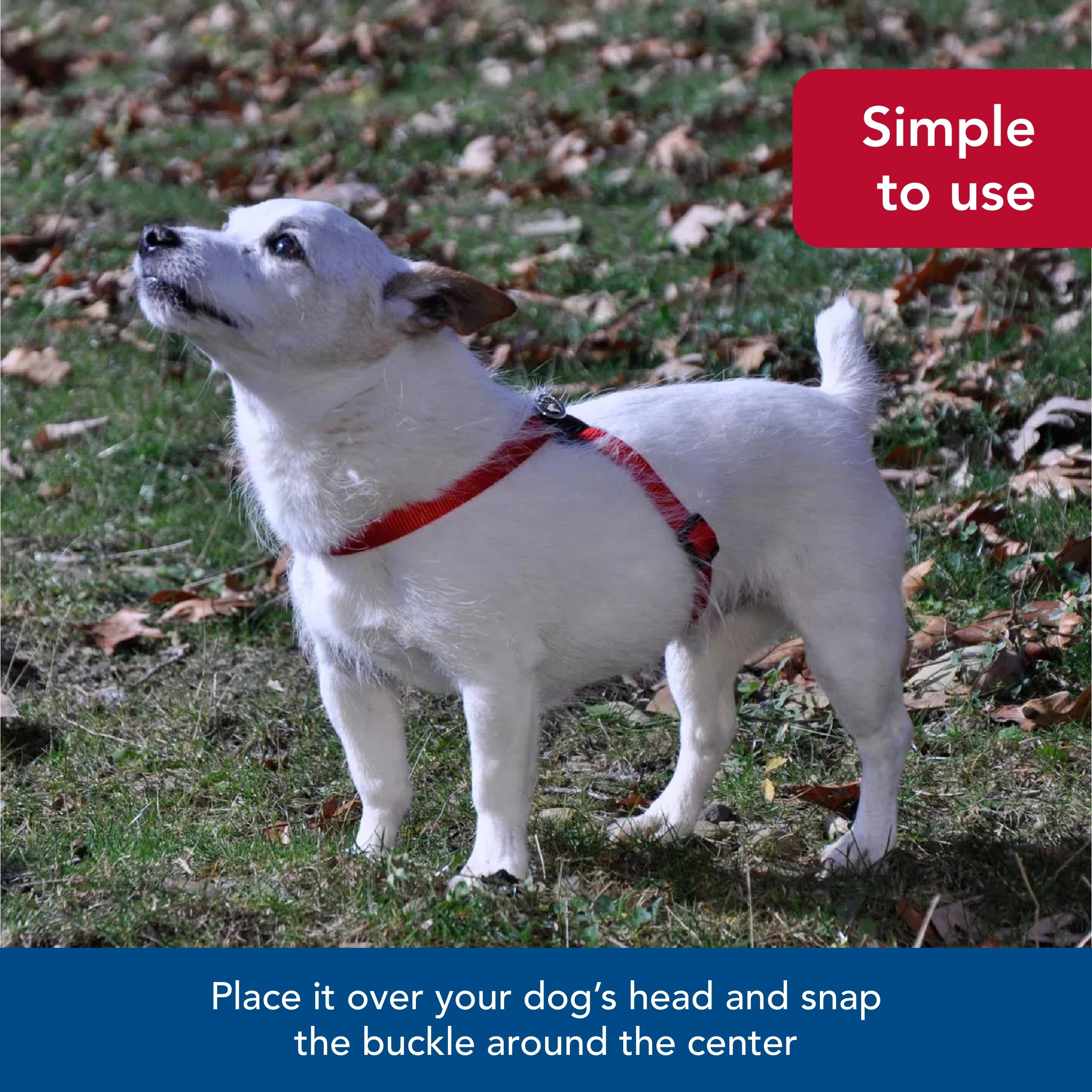 Coastal Pet Size Right Adjustable Dog Harness - Small & Big Dog Harness - Comfortable Dog Training Harness - Includes Snap-Lock Buckle - Quality Dog Supplies - Blue, 1' X 30-38'
