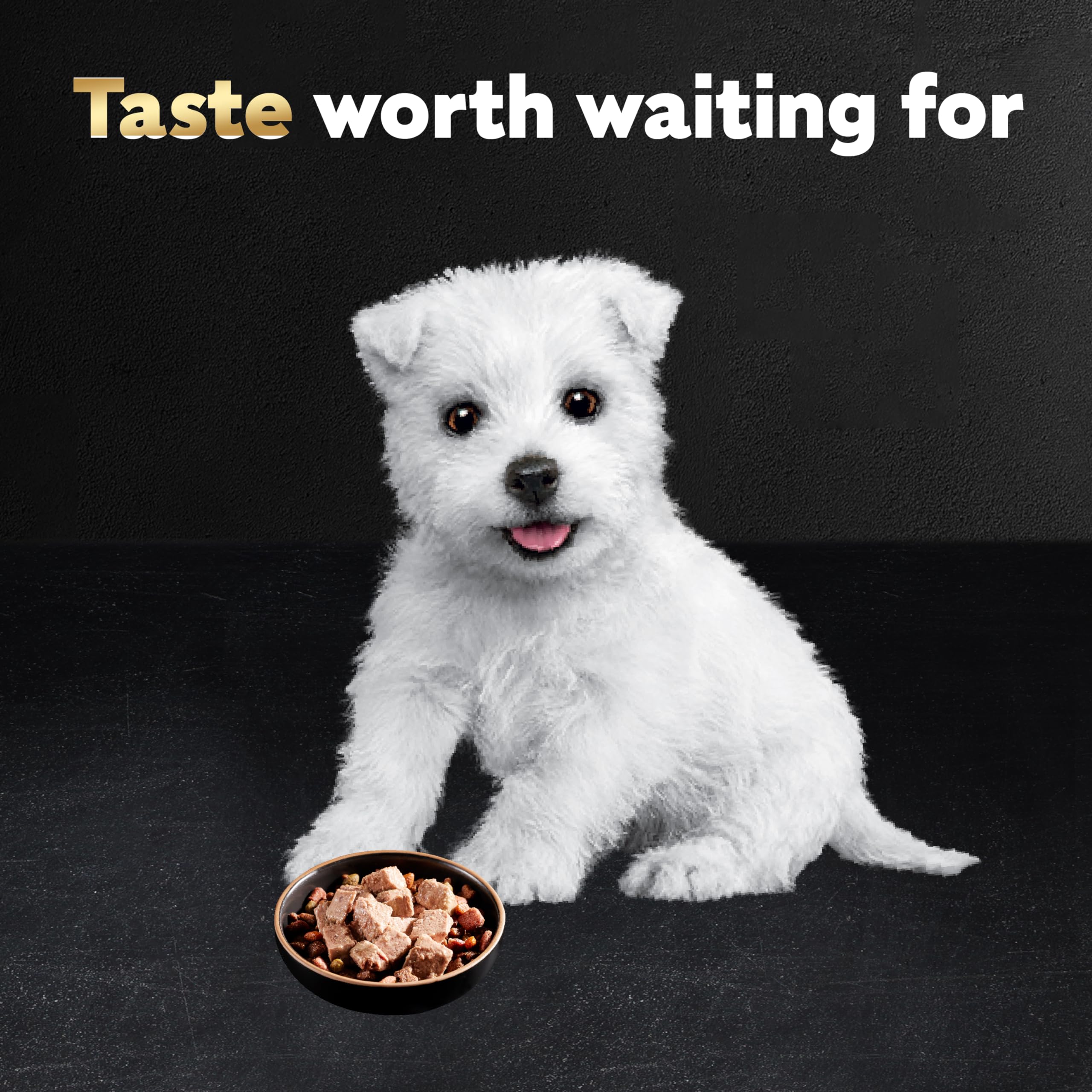 Cesar Puppy Wet Dog Food Classic Loaf in Sauce Chicken & Beef Recipe, 3.5 oz. Easy Peel Trays (24 Count, Pack of 1)