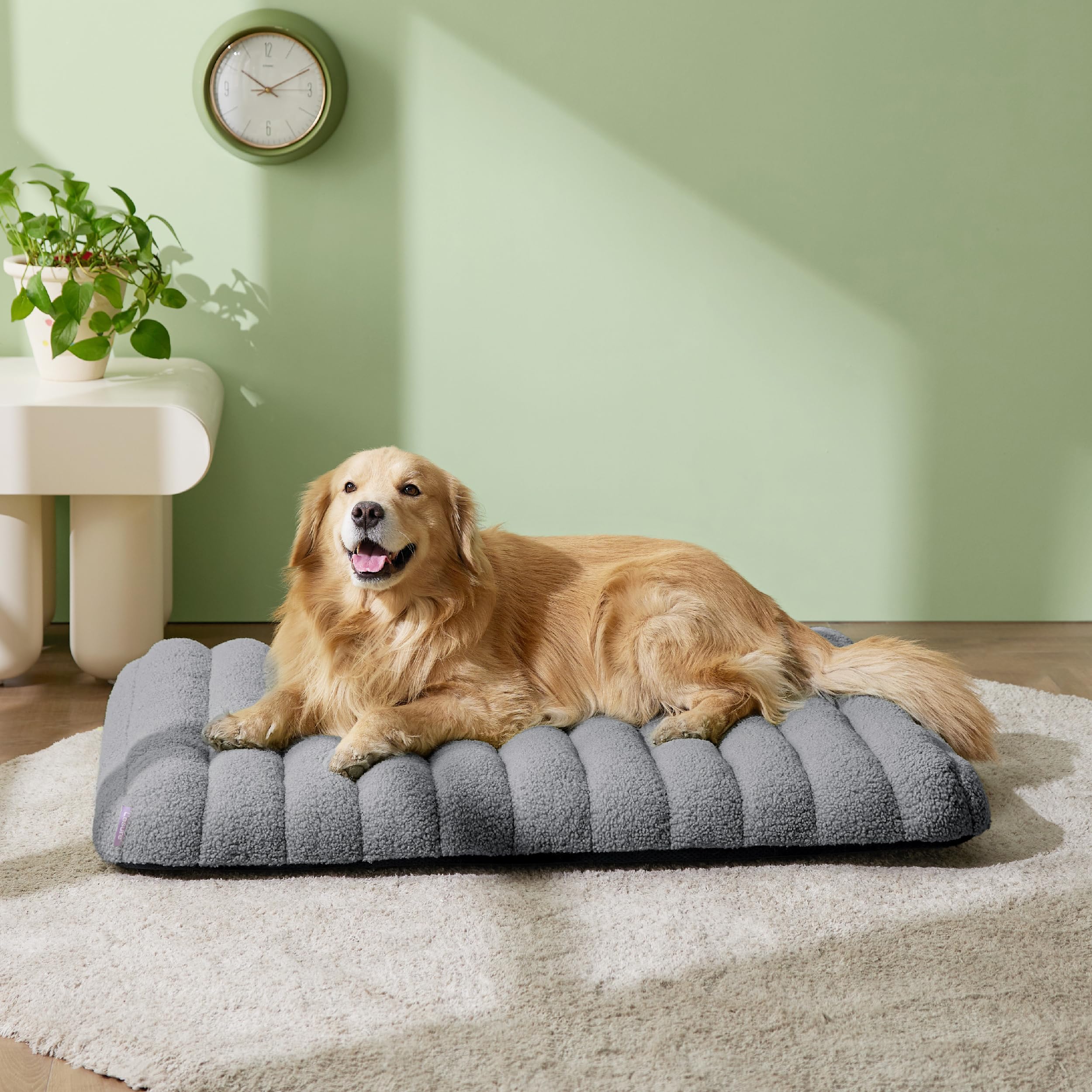 Lesure Cute Orthopedic Dog Bed For Extra Large Dogs, Xl Waterproof Chic Flat Pet Beds With Removable Washable Cover, Fuzzy Thick