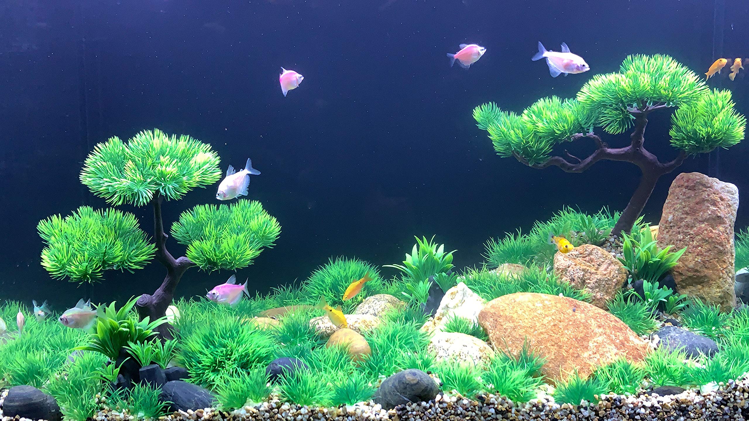 Begondis 40 Pcs Artificial Small Water Plants, Fish Tank Aquarium Grass Decorations, Made Of Soft Plastic
