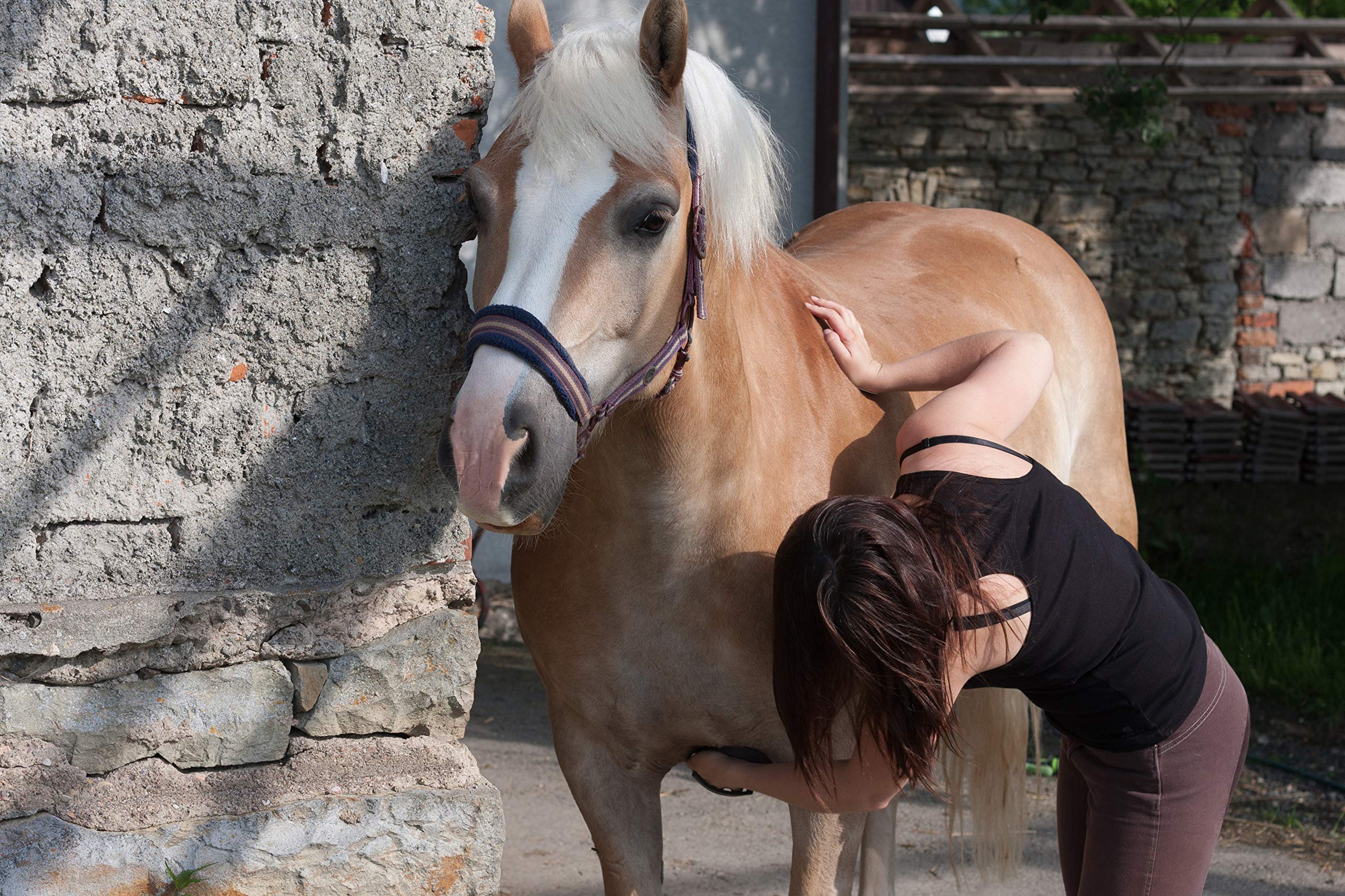Intrepid International Magic Horse Brush, For Horse Grooming Kit W/Durable Plastic Bristles, Horse Brushes For Grooming, Removes Dirt, Sweat, Grime, Black