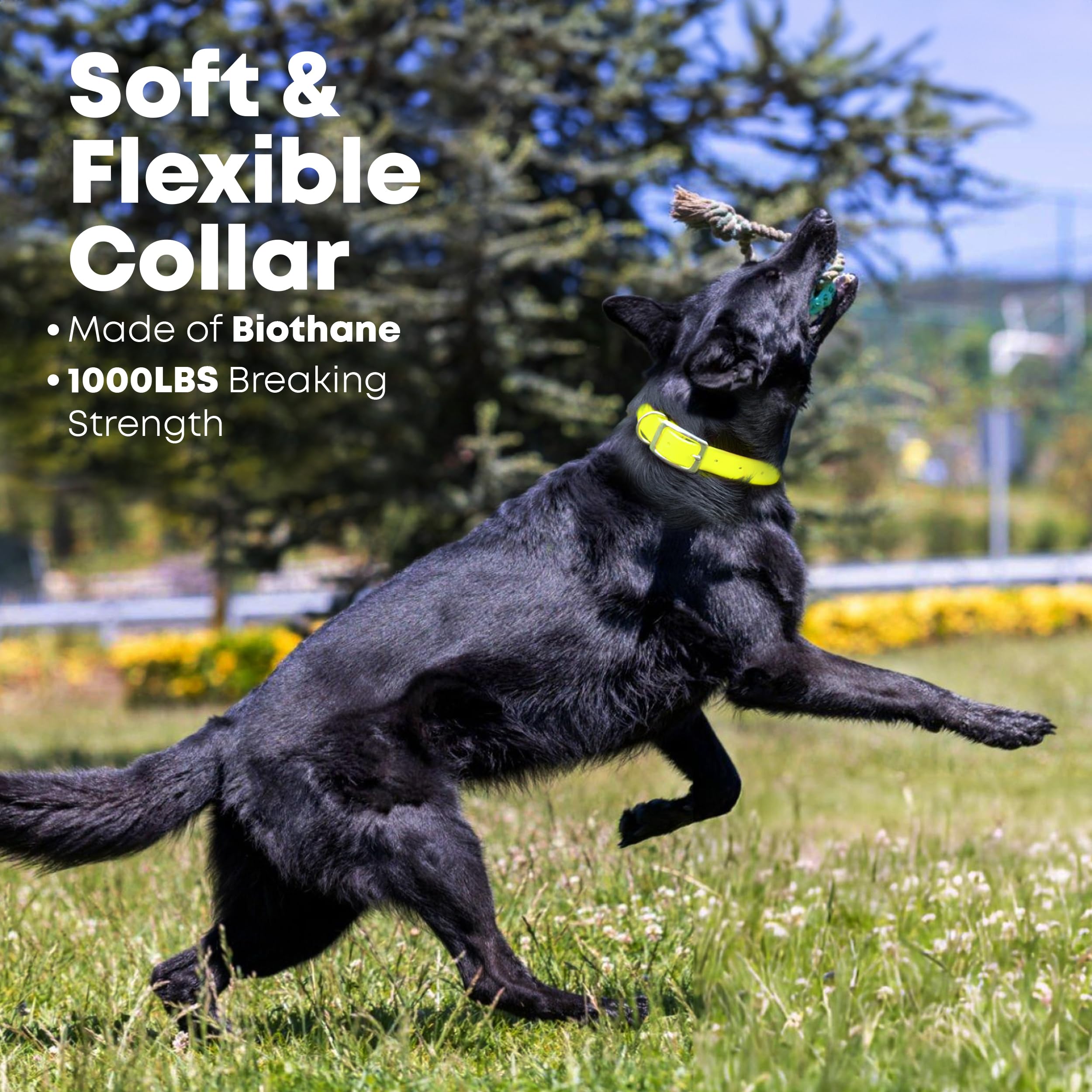 Regal Dog Products Large Yellow Waterproof Dog Collar And Leash Set - Vinyl Coated Biothane Pet Training Collar With Heavy Duty