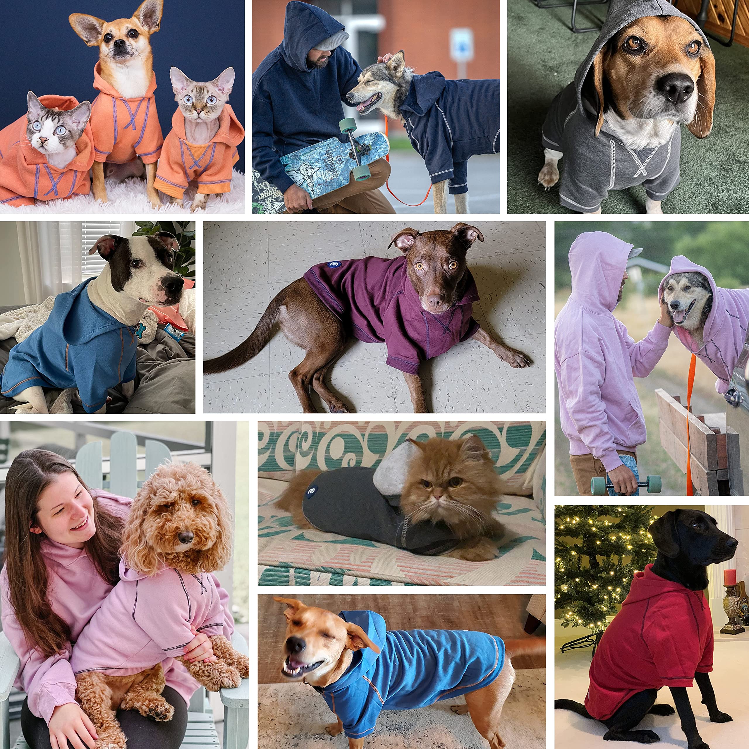Blueberry Pet Essentials Soft & Comfy Better Basic Cotton Blend Dog Hoodie Sweatshirt in Charcoal Grey, Back Length 18'', Pack o