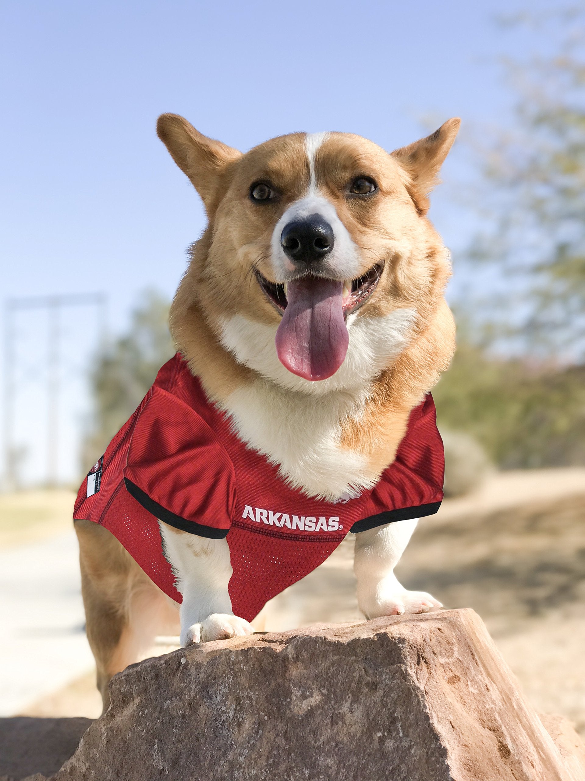 Pets First NCAA College Arkansas Razorbacks Mesh Jersey for DOGS & CATS, Medium. Licensed Dog Jersey with your Favorite Football