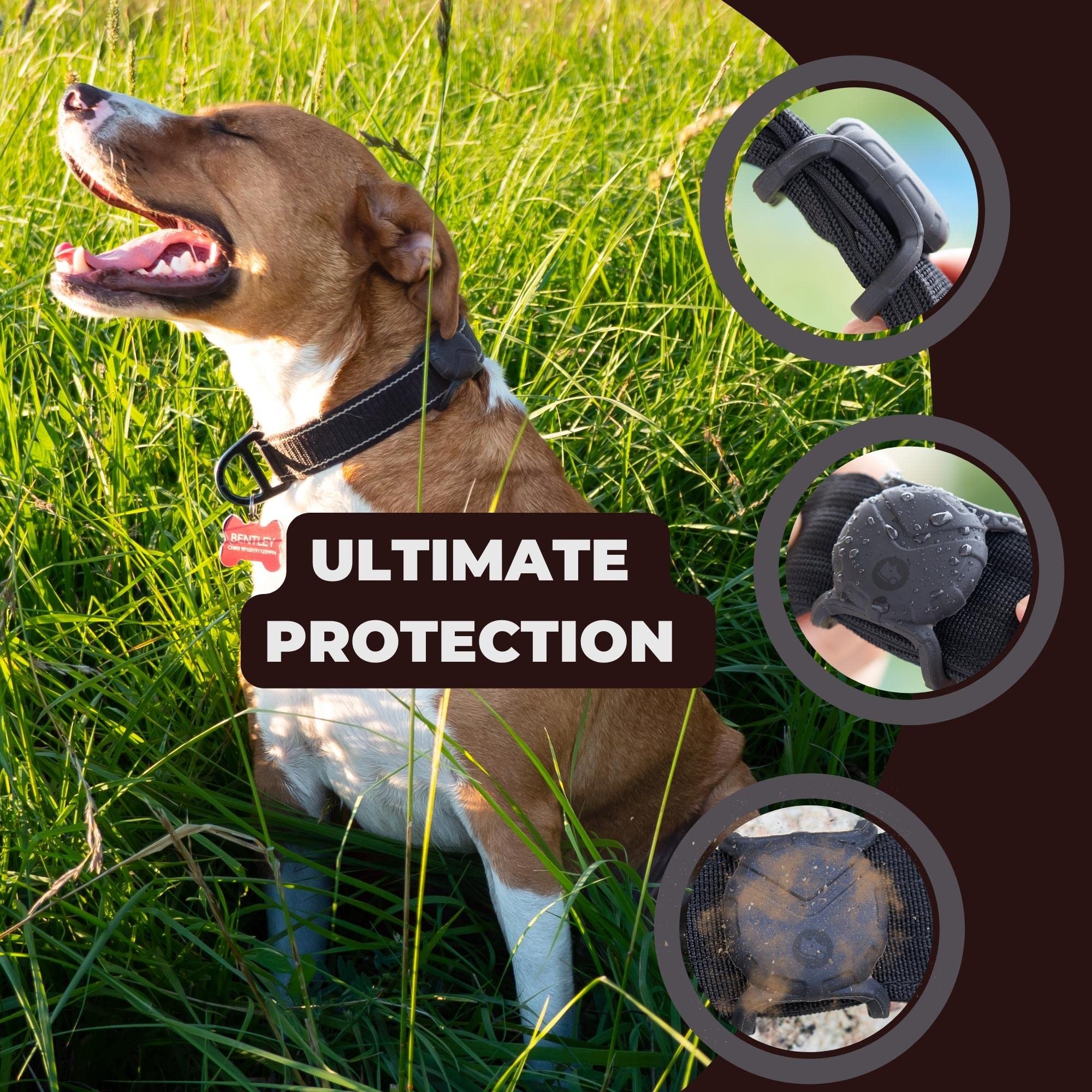 Ultra Thick Dog Collar Holder for | Military-Grade Air Tag Case Fits Collar from 0.8 to 2 | Apple Air Tag Holders for Large Dogs