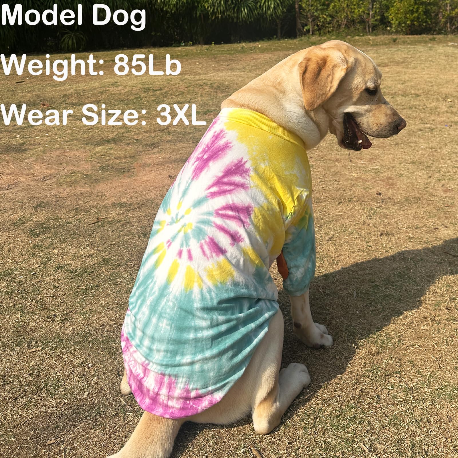 PriPre Dog Cotton Colorful Purple Yellow T-Shirts Soft and Stretchy Dog Shirt Pajamas Pets Clothes for Extra Large Dogs(2XL Purp