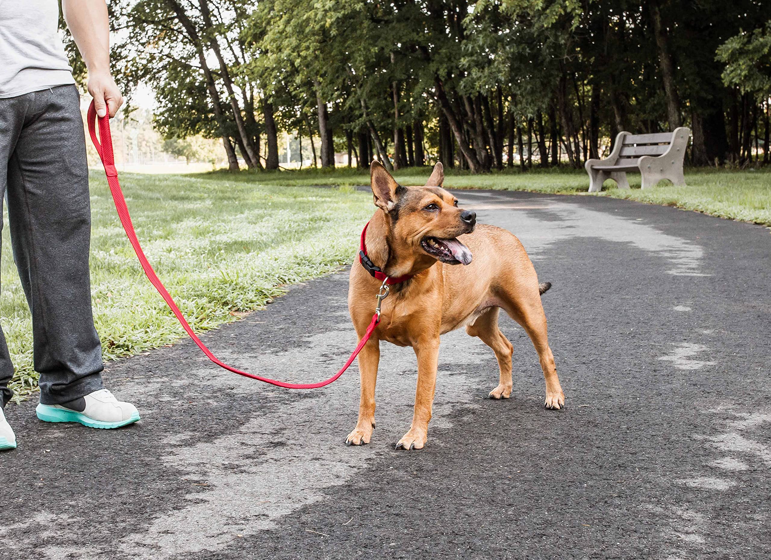 Pet Life ® 'Aero Mesh' 360 Degree Dual Sided Comfortable And Breathable Adjustable Fashion Mesh Dog Collar And Dog Leash For Small Medium And Large Dogs Red
