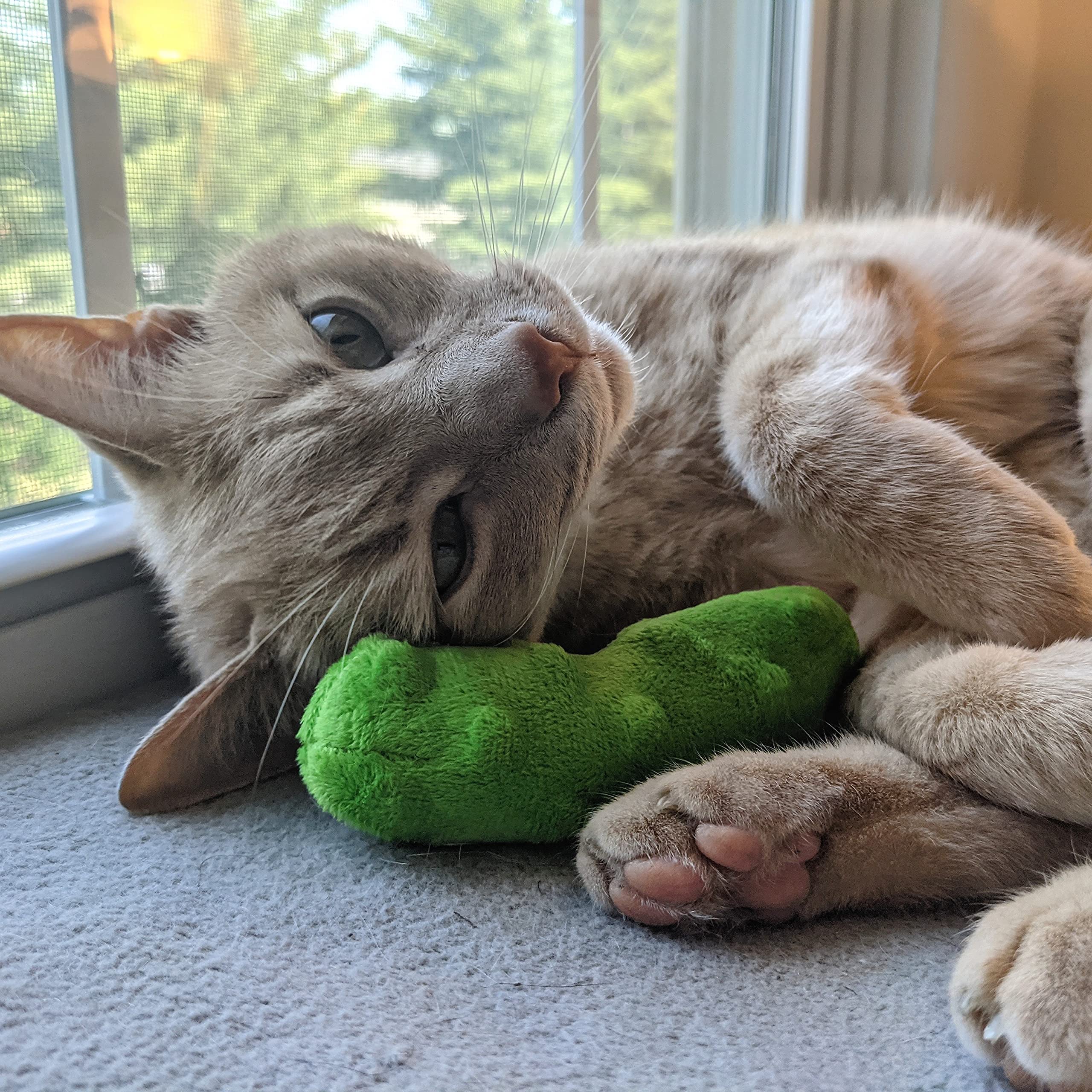 Huxley & Ket Plush Cat Toy | Pickle | Snack Attack Strong Catnip Filled Cat Toy | Plush Interactive Kitten And Cat Toy With Catnip And Crinkle | Kittybelles