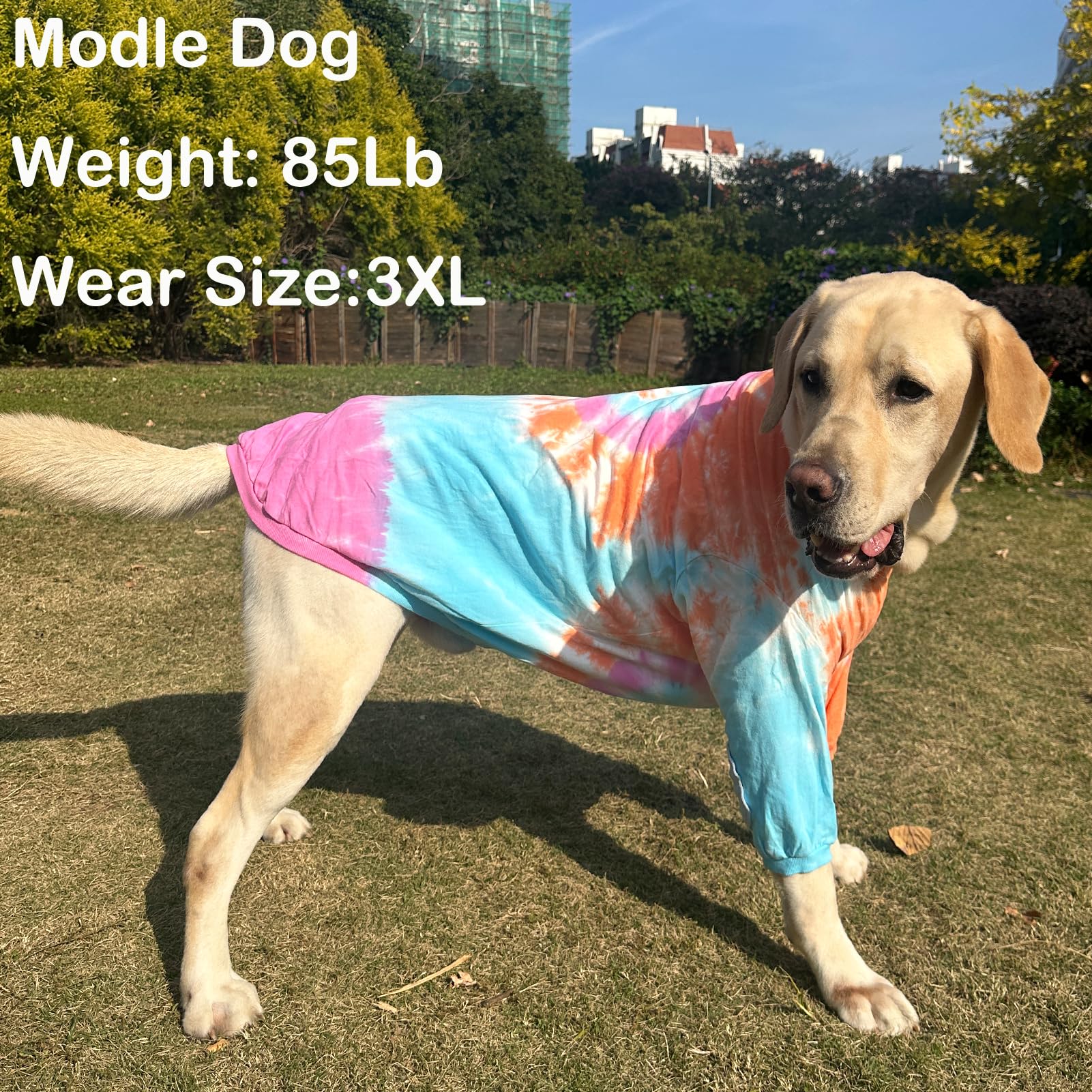 PriPre Dog Cotton Colorful Pink Orange T-Shirts Soft and Stretchy Dog Shirt Pajamas Pets Clothes for Large Dogs(Large PinkOrange
