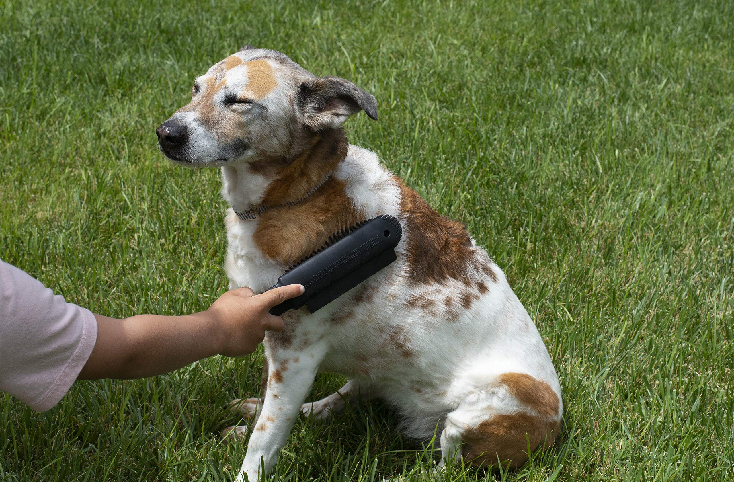 FURemover Plus Pet Hair Rubber Brush with Squeegee, Easily Remove Fur and Lint from Clothing, Carpets and Furniture, Gently Groo