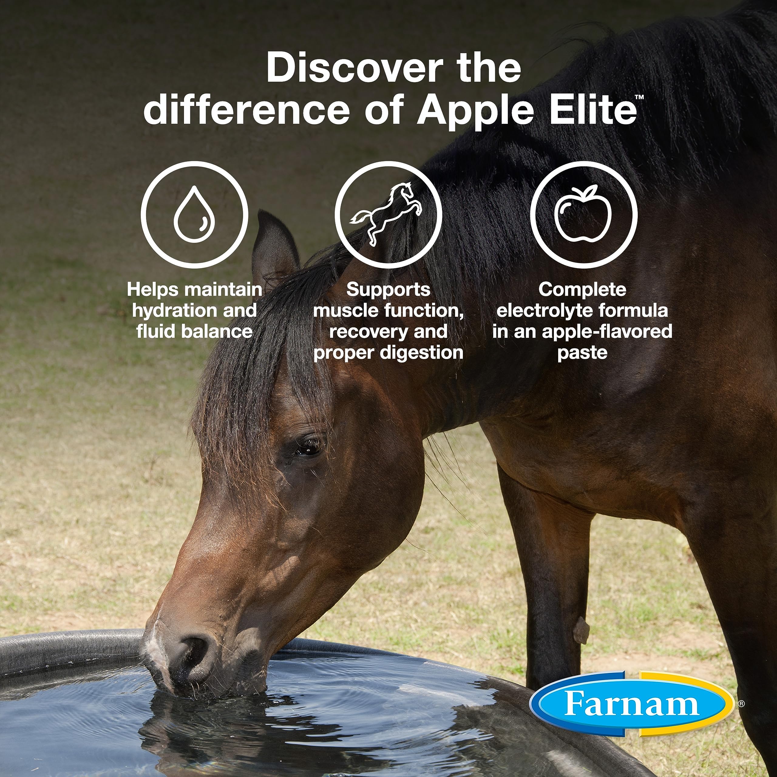 Farnam Apple Elite Horse Electrolyte Paste, Rapid replenisment of minerals lost in sweat during exercise, extreme weather and st