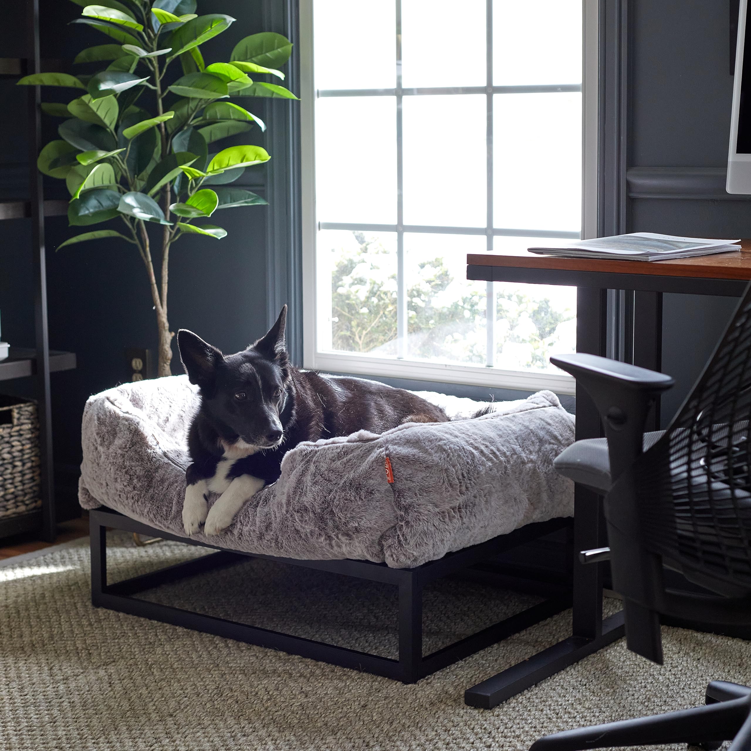 FUZI Elevated Dog Bed - Large Luxury Orthopedic Pet Bed, Removable Washable Cover, 36"x29"x16", Light Grey & Black