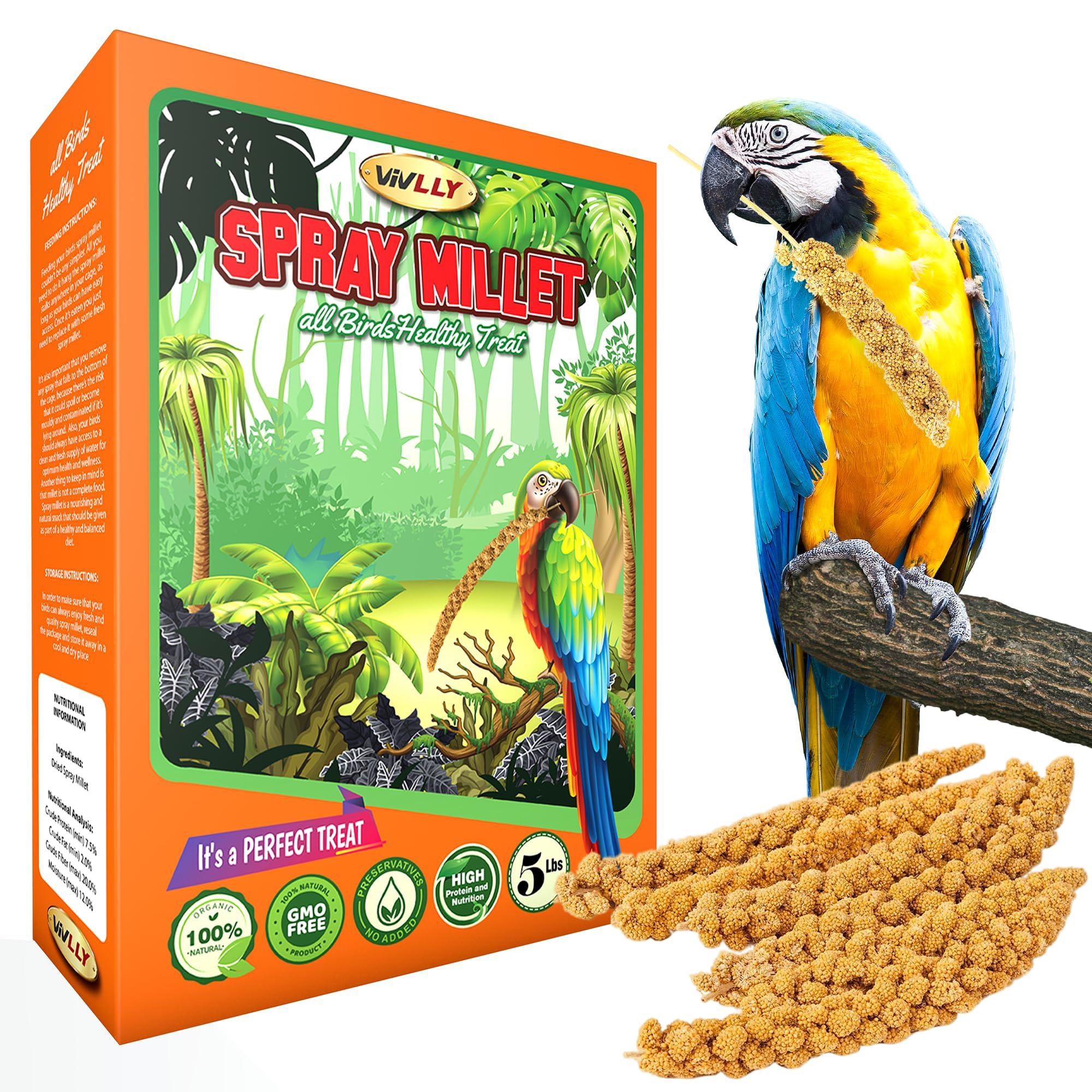 Vivlly 5LBS GMO-Free Sun Dried Spray Millet - Original Bird Treat Millet for Parakeets, Cockatiels, Finches & More - Non-GMO, Hi