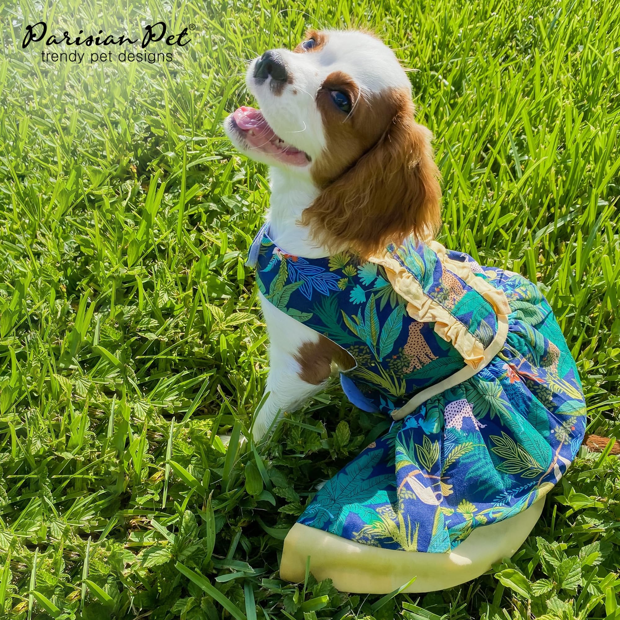 Parisian Pet Amazonia Dress - Leafy Summer Clothes For Dogs - Magic Strap Closure Beach Outfit - Lightweight Dressy Outfit - Dre