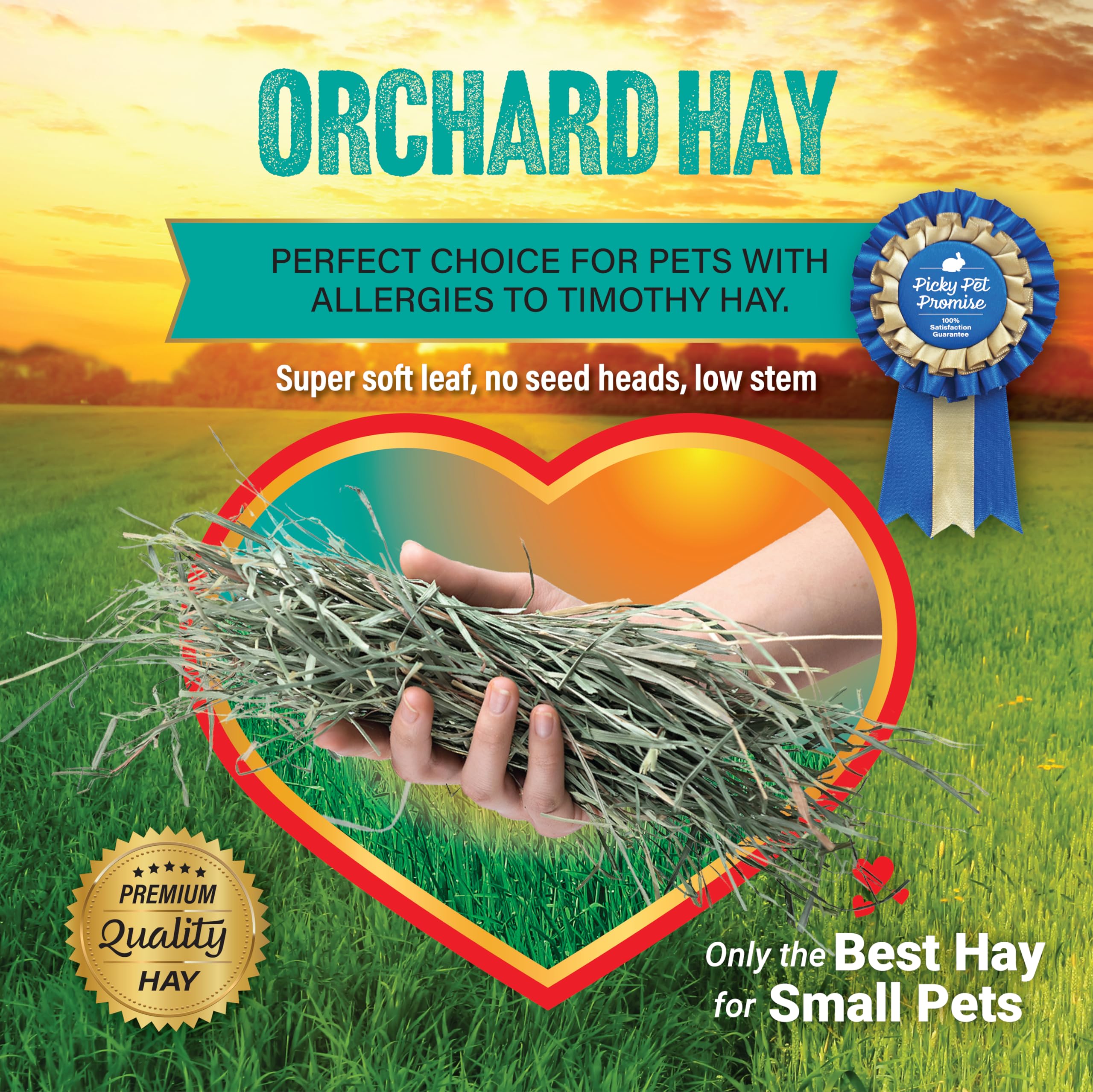 Small Pet Select Orchard Grass Hay Pet Food for Rabbits, Guinea Pigs, Chinchillas and Other Small Animals, Premium Natural Hay G
