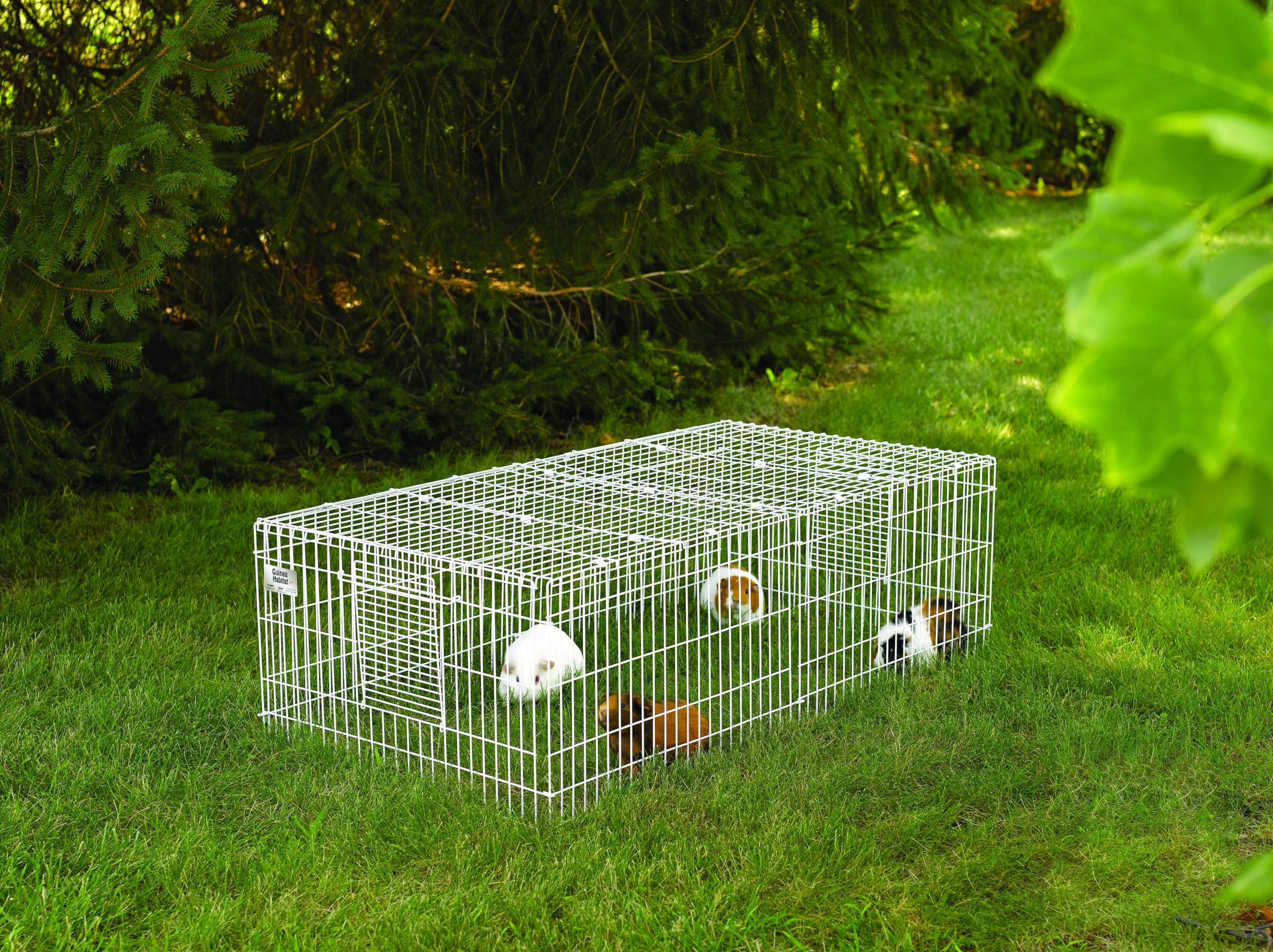 Midwest Homes For Pets Guinea Habitat Plus Guinea Pig Cage By Midwest W/ Top Panel, 47L X 24W X 14H Inches