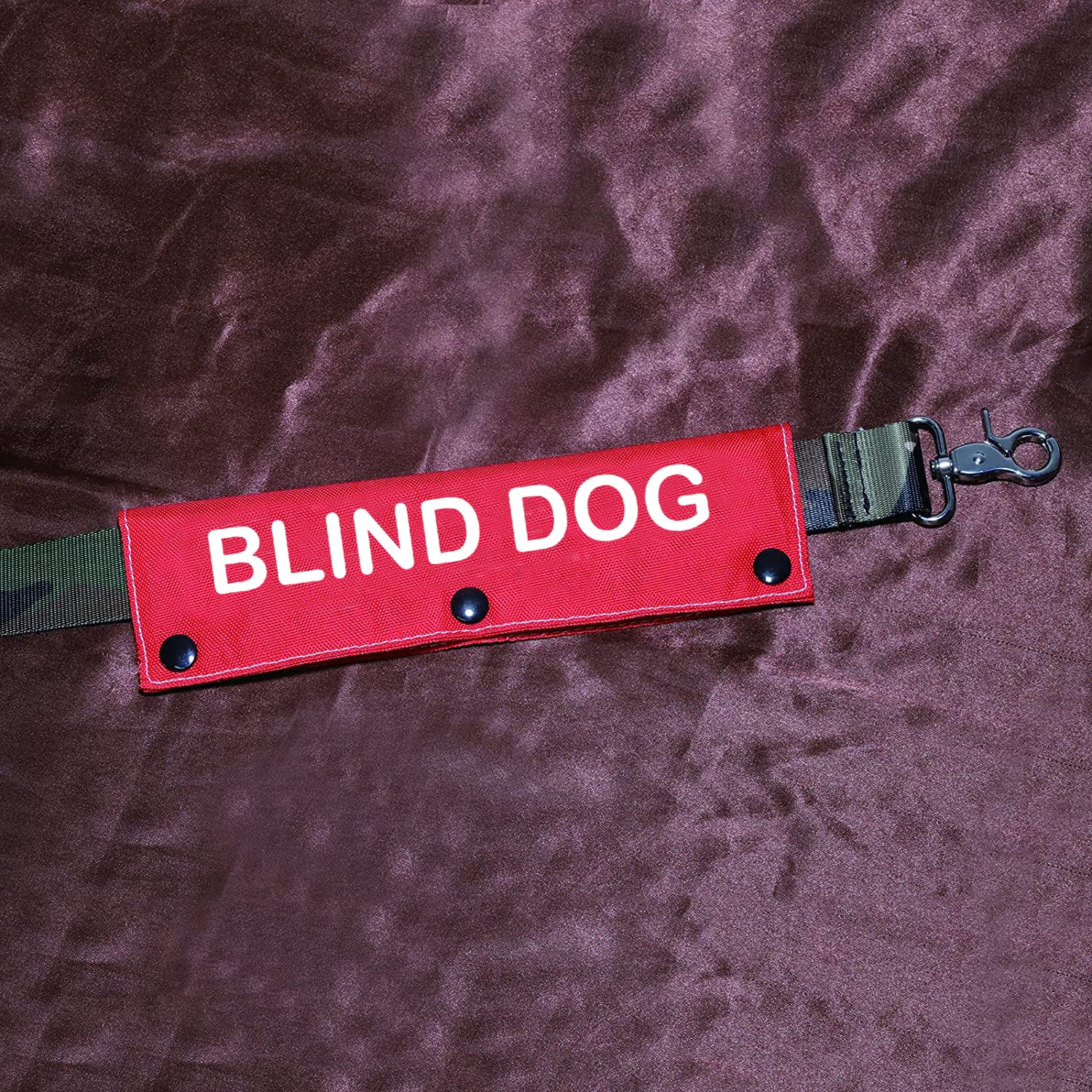 Visual Impairment Dog Leash Sleeve Blind Dog Dog Leash Wrap Wrap Alert Hanging Id Patch Tag Pet Birthday Gift(Blind Dog-Sleeve)